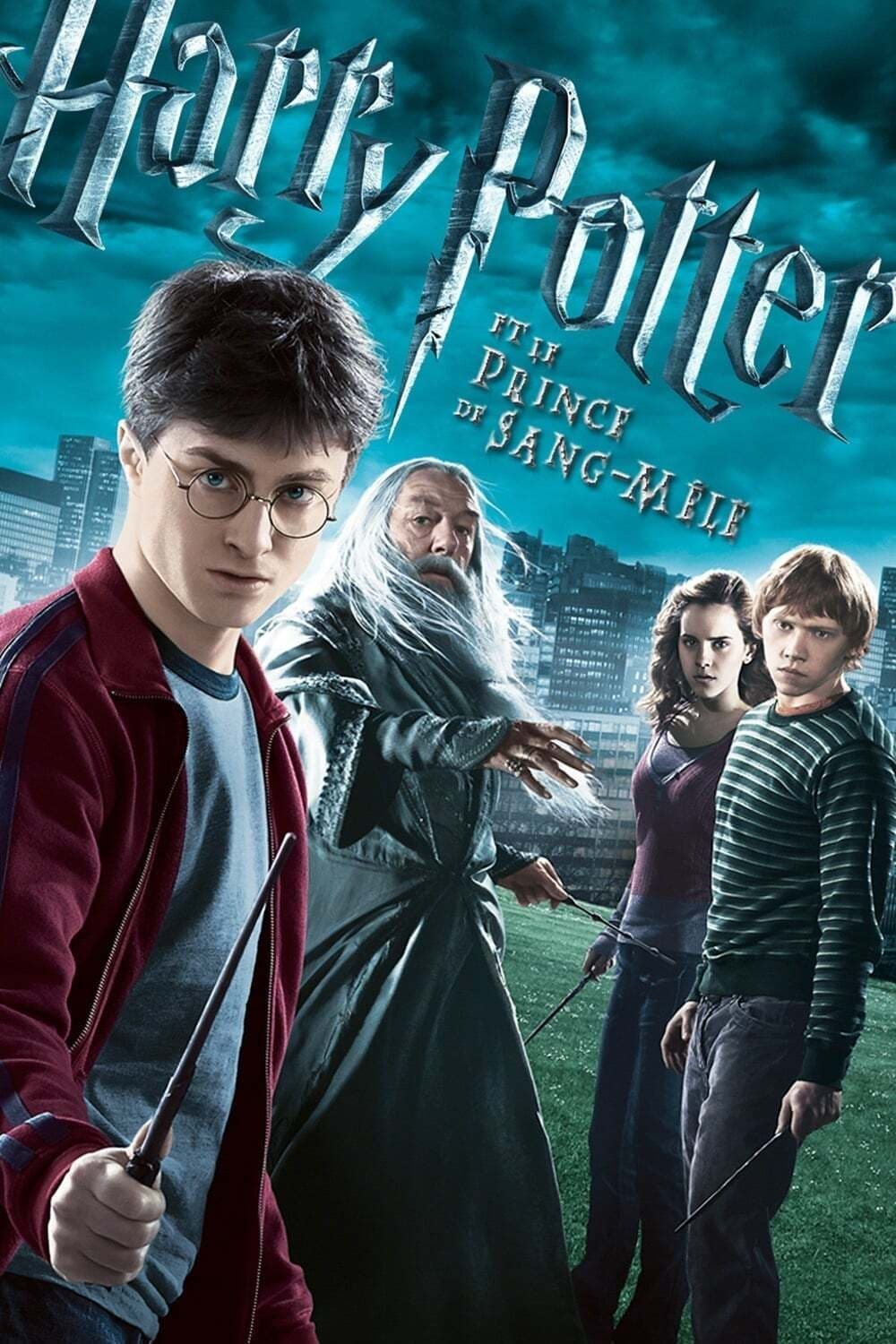 Harry Potter et le Prince de sang-mêlé est-il disponible sur Netflix ou autre ?