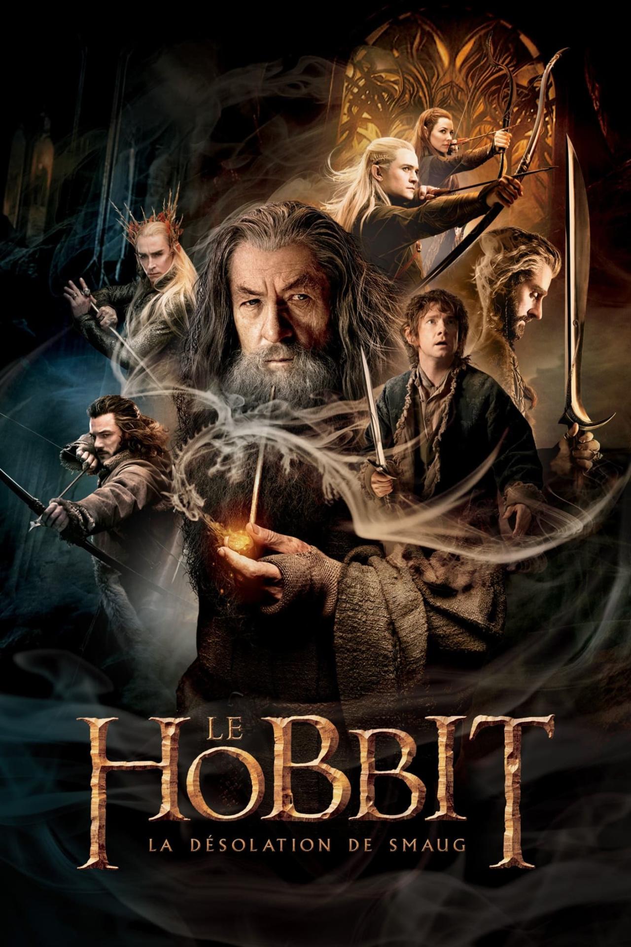 Le Hobbit : La Désolation de Smaug est-il disponible sur Netflix ou autre ?