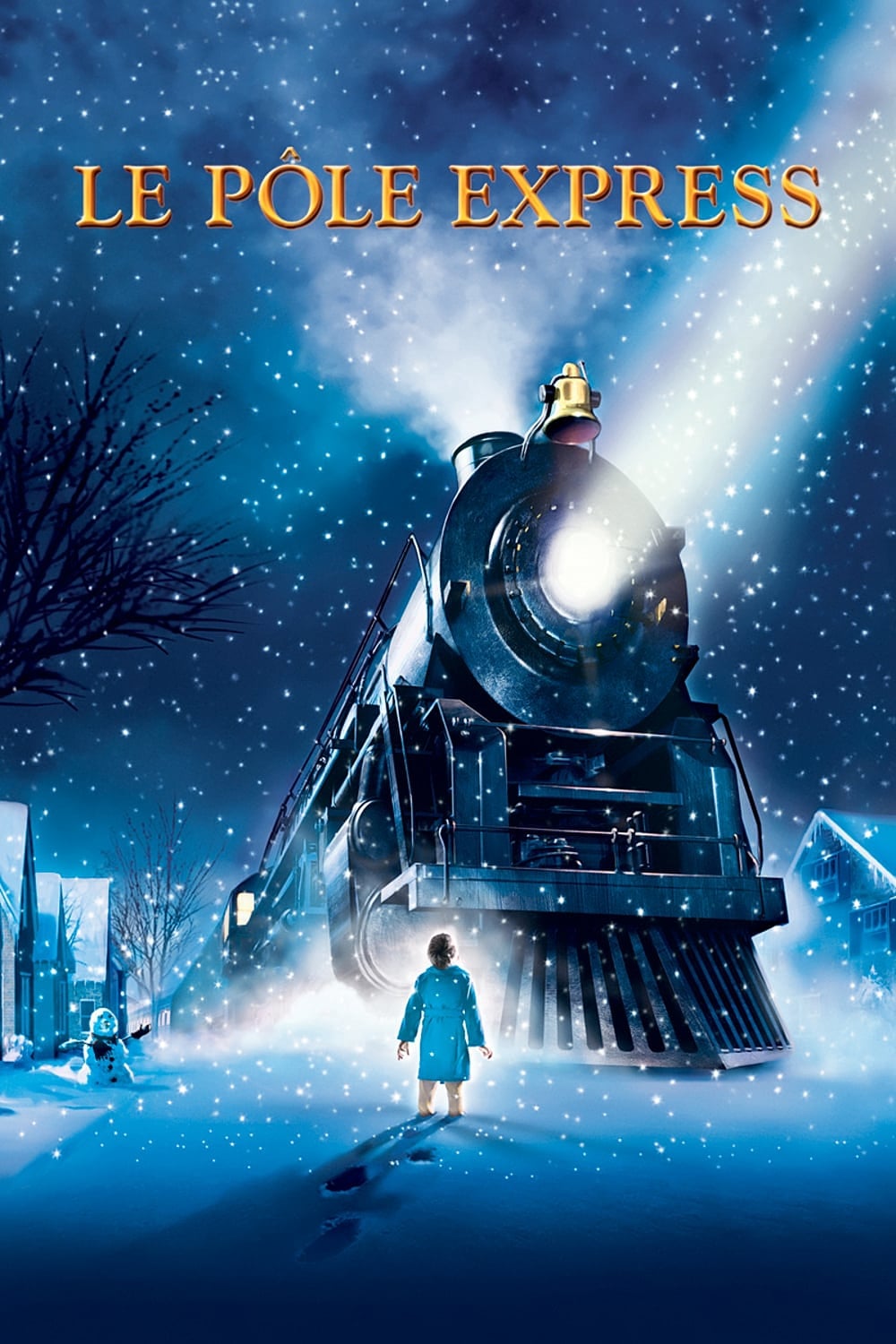 Affiche du film Le Pôle express poster