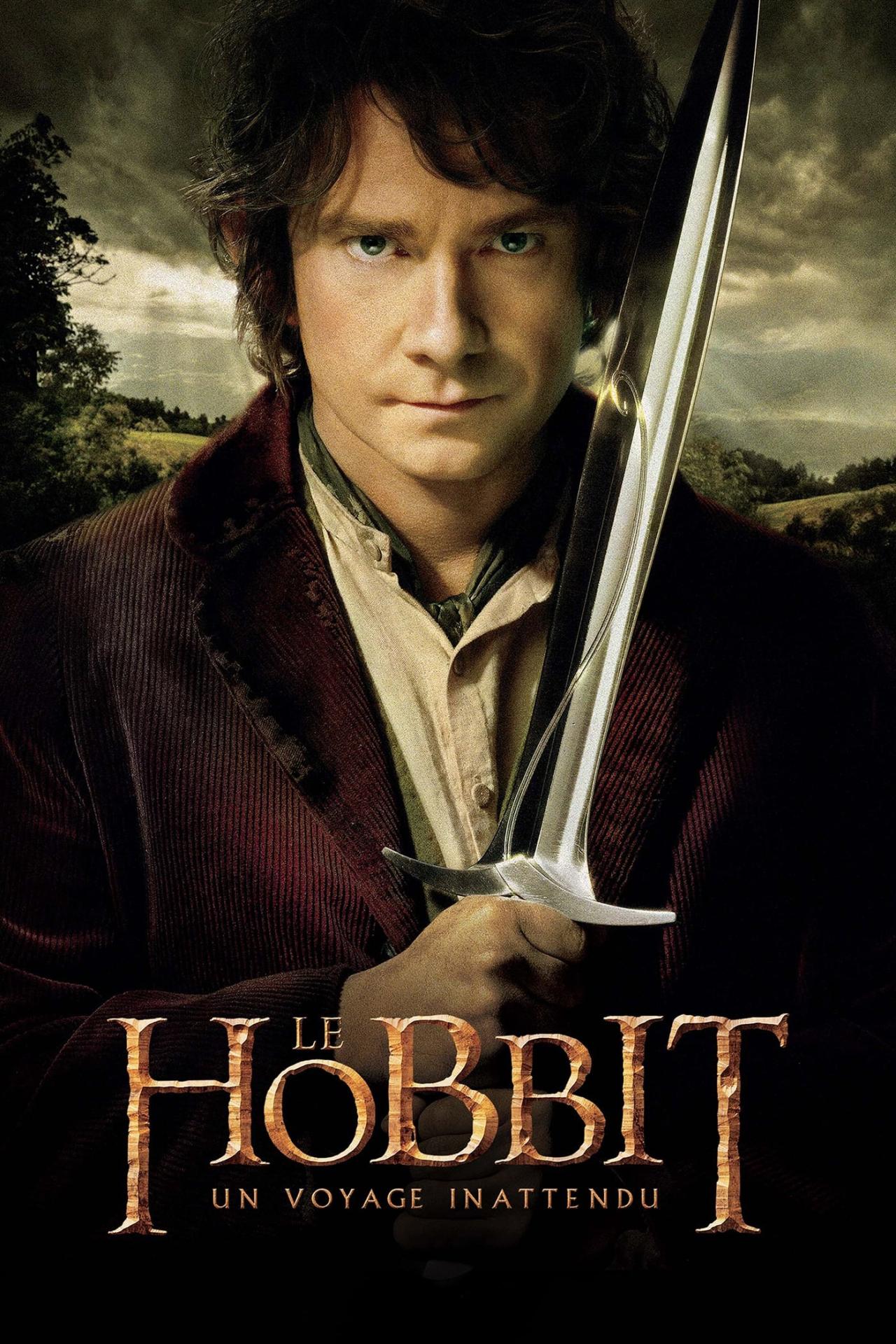 Le Hobbit : Un voyage inattendu est-il disponible sur Netflix ou autre ?