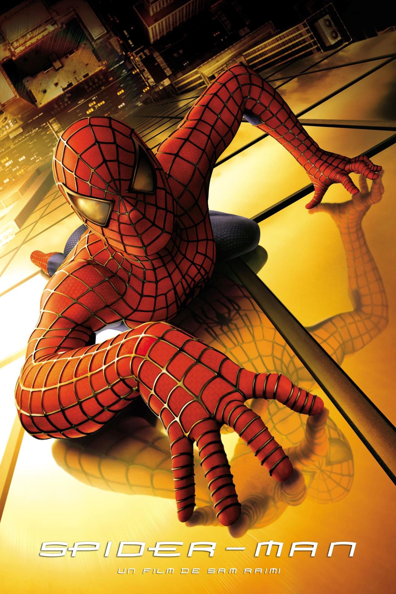 Affiche du film Spider-Man