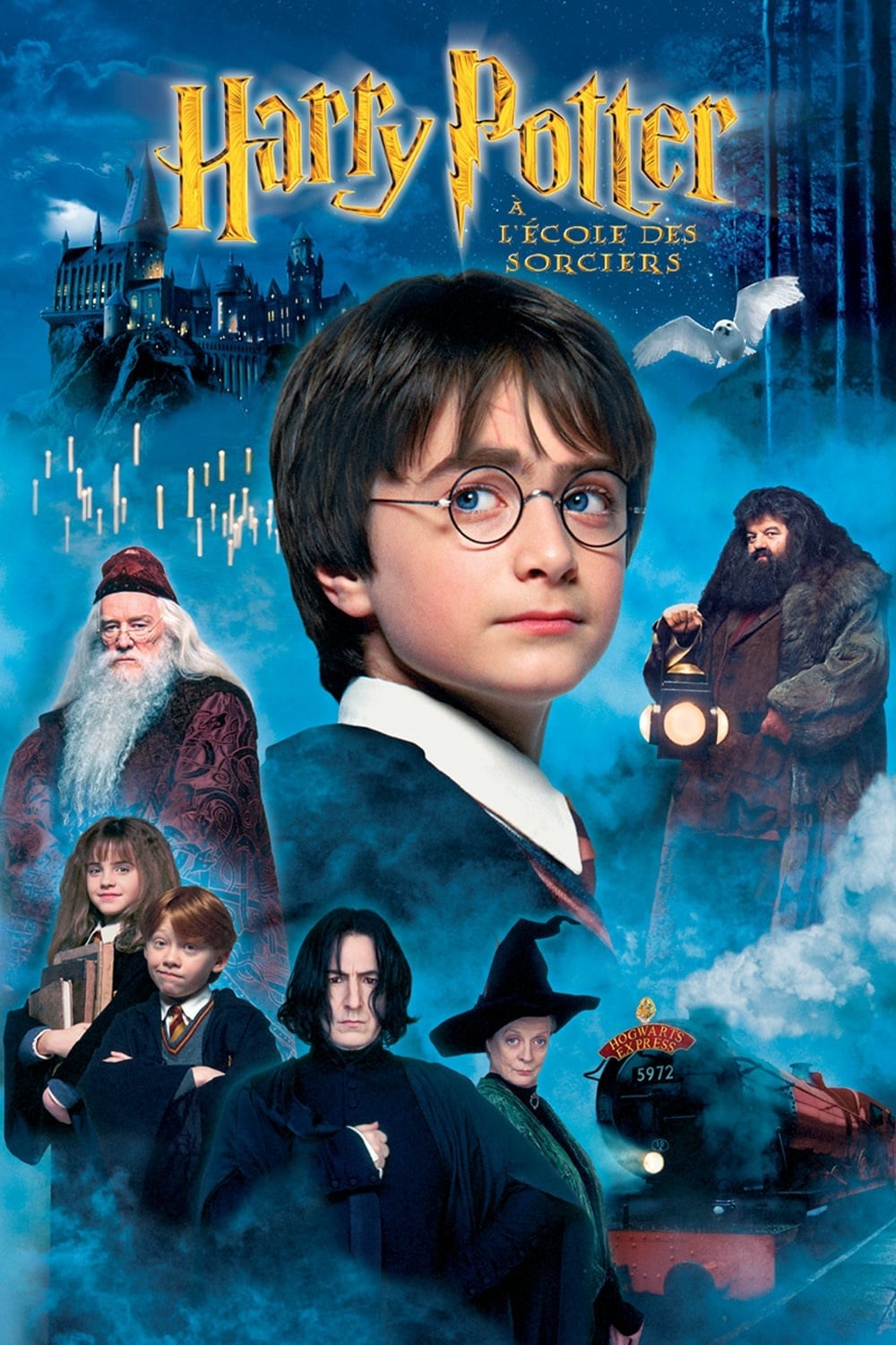 Harry Potter à l'école des sorciers est-il disponible sur Netflix ou autre ?