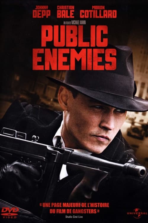 Affiche du film Public Enemies