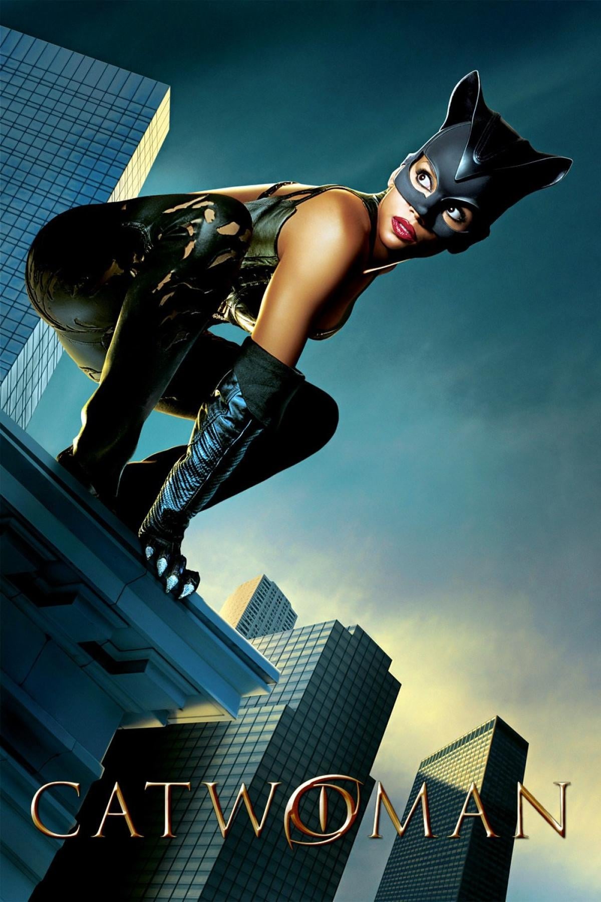 Catwoman est-il disponible sur Netflix ou autre ?