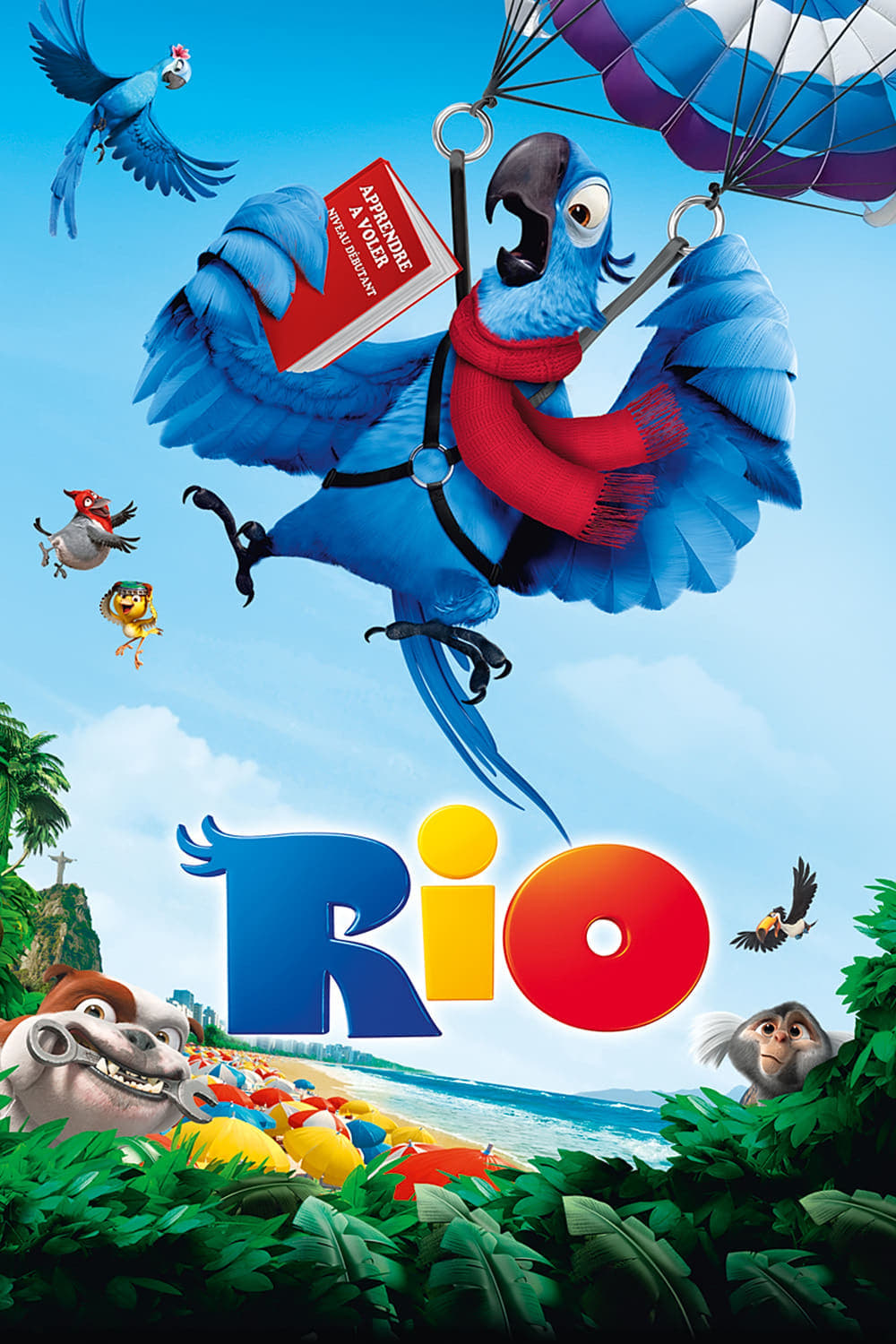 Rio est-il disponible sur Netflix ou autre ?