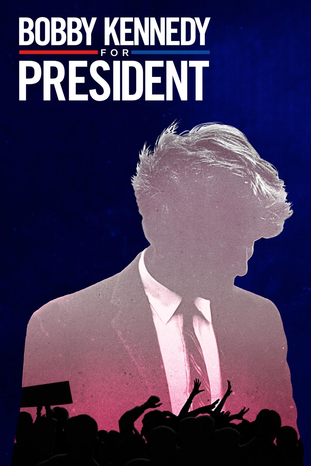 Les saisons de Bobby Kennedy for President sont-elles disponibles sur Netflix ou autre ?