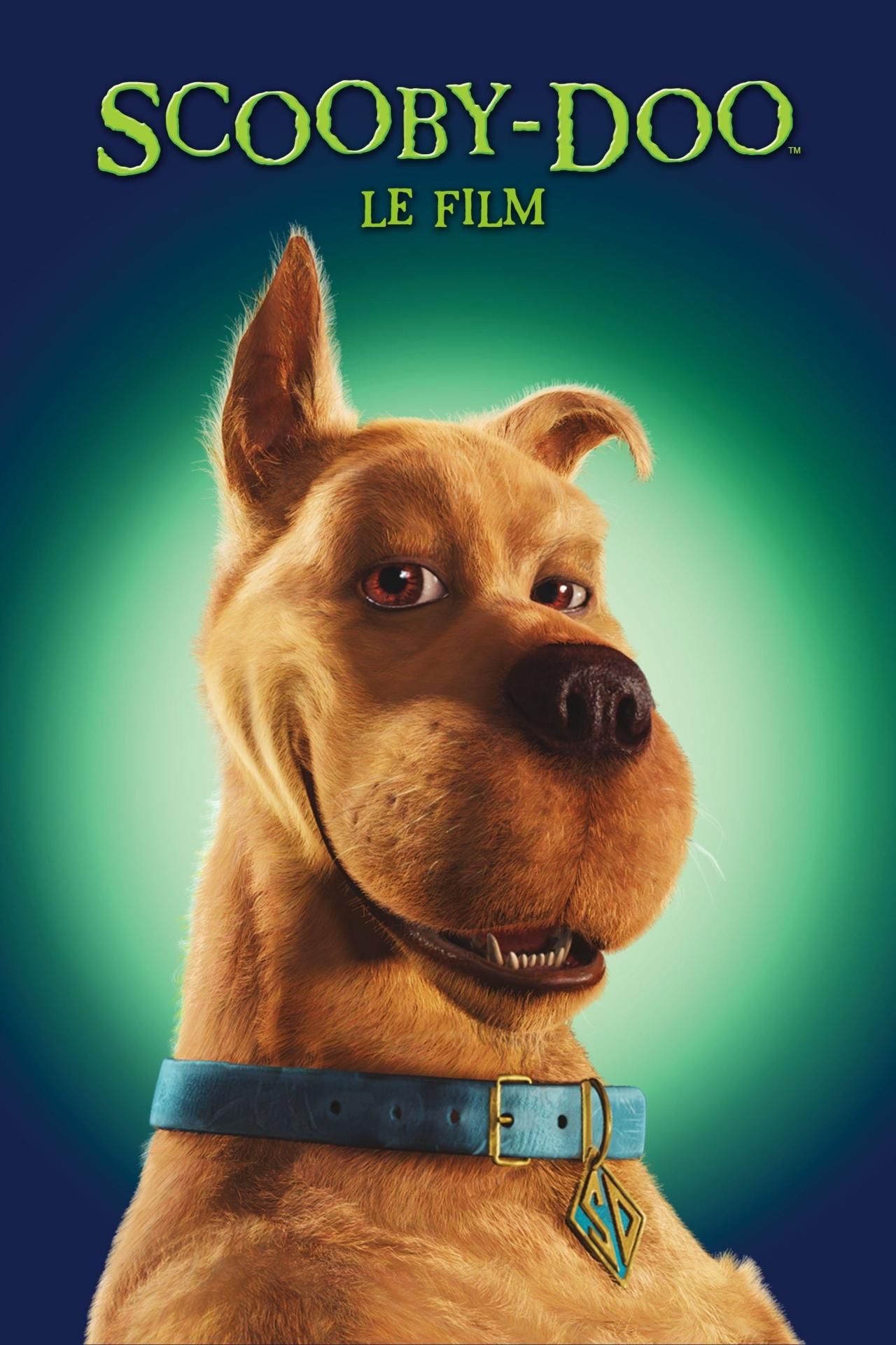 Scooby-Doo est-il disponible sur Netflix ou autre ?