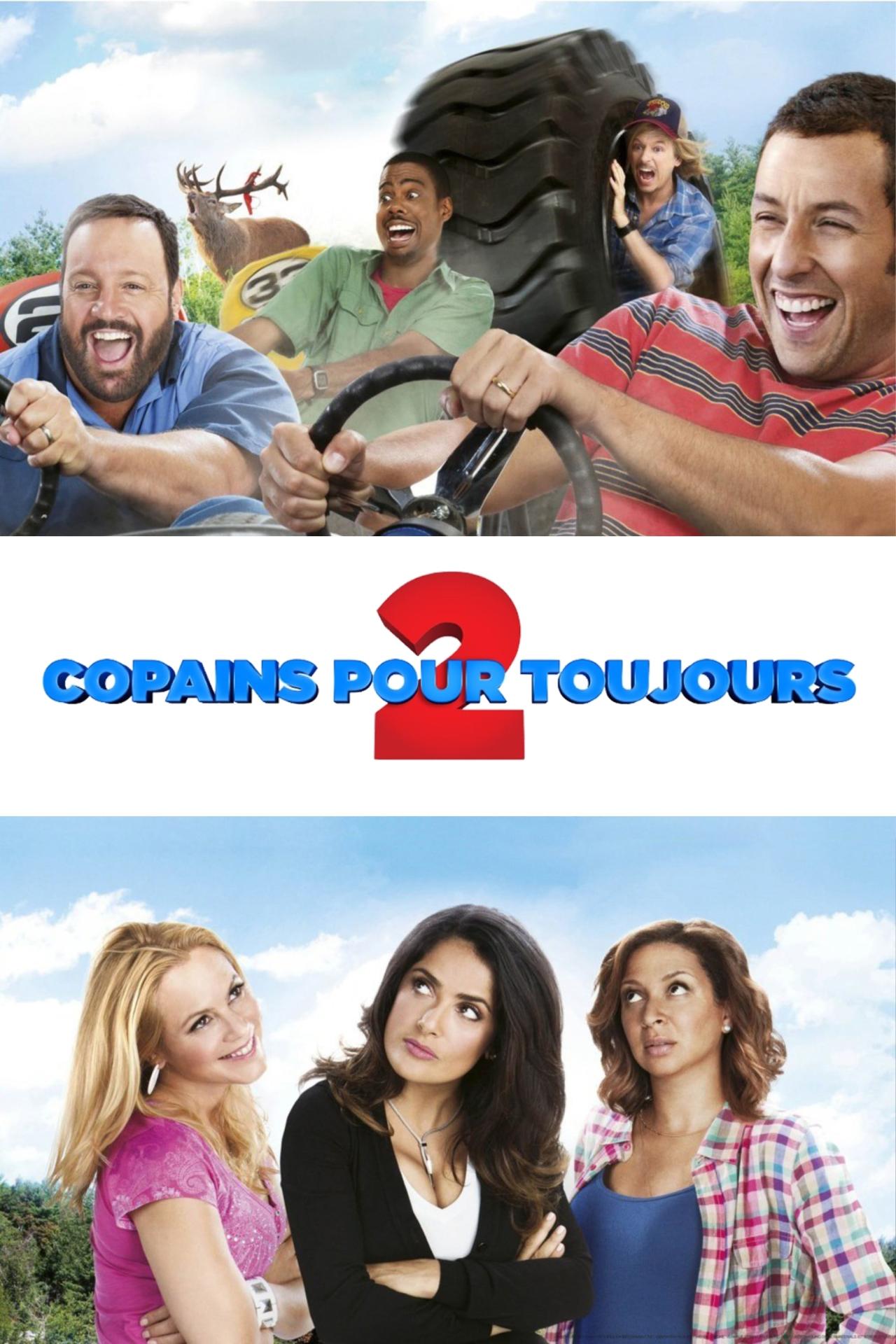 Affiche du film Copains pour toujours 2 poster