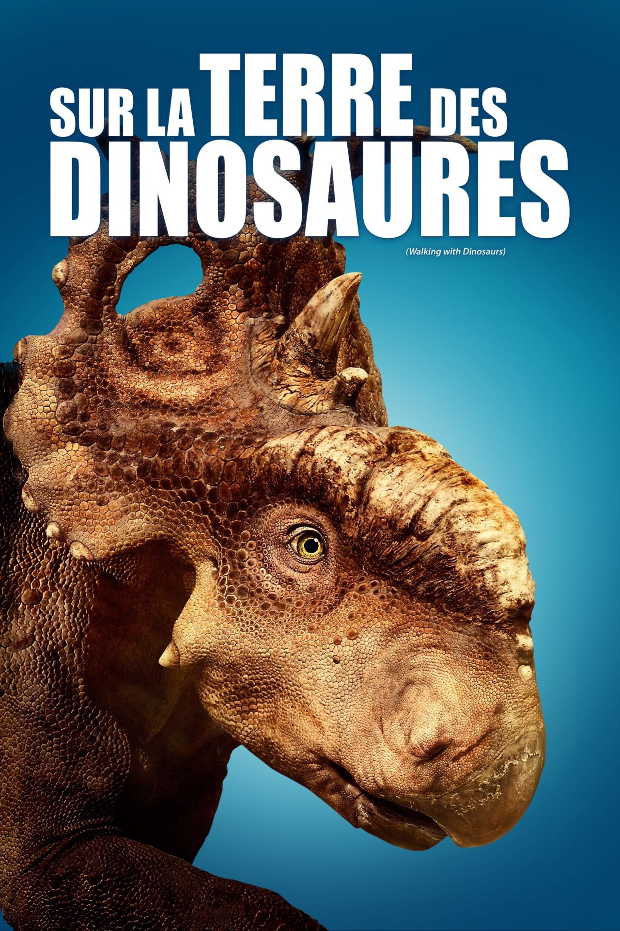 Affiche du film Sur la terre des dinosaures poster