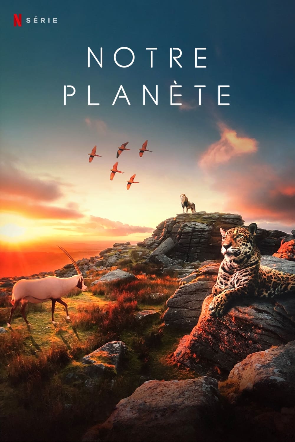 Les saisons de Notre planète sont-elles disponibles sur Netflix ou autre ?