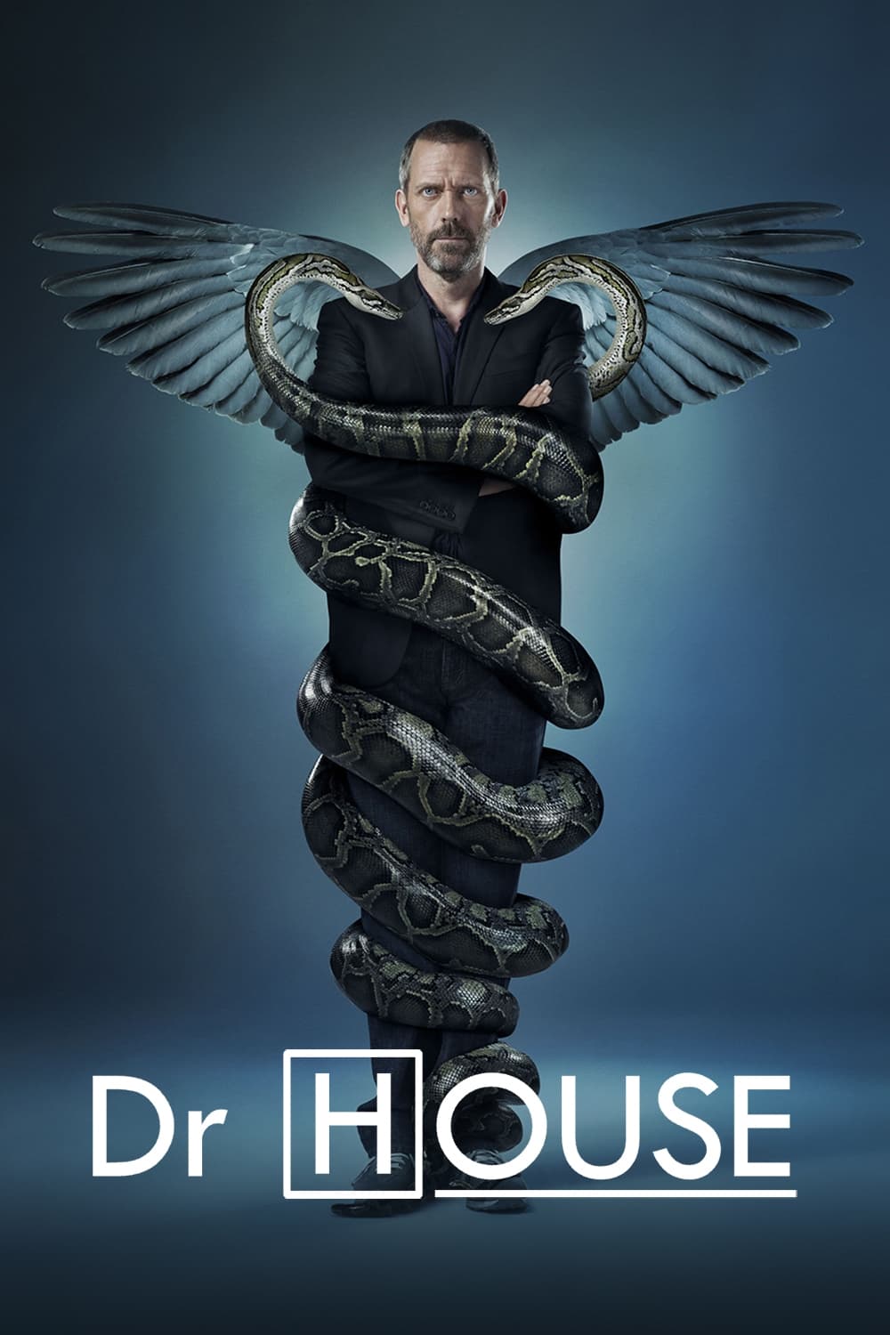 Affiche de la série Dr House poster