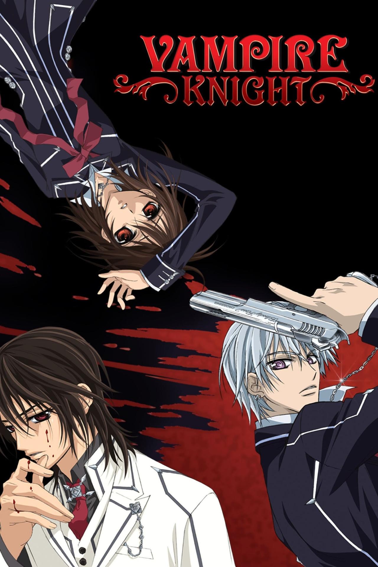 Les saisons de Vampire Knight sont-elles disponibles sur Netflix ou autre ?