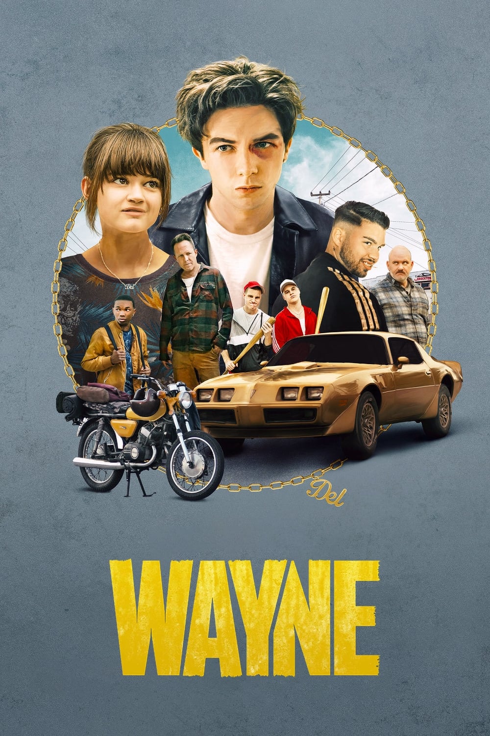 Les saisons de Wayne sont-elles disponibles sur Netflix ou autre ?