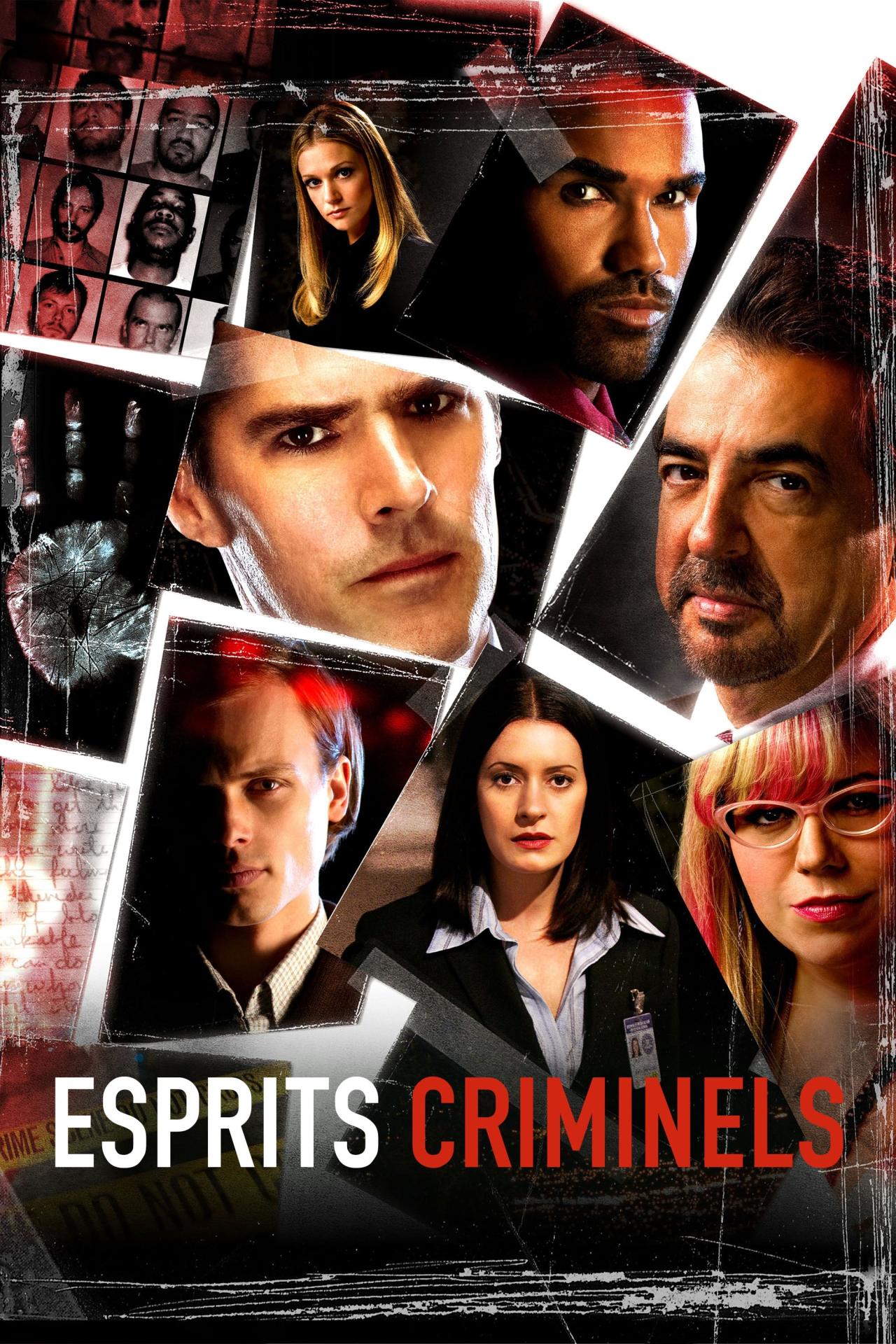 Affiche de la série Esprits criminels poster