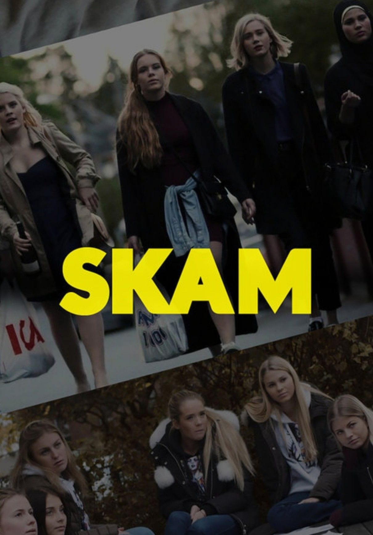 Les saisons de SKAM sont-elles disponibles sur Netflix ou autre ?