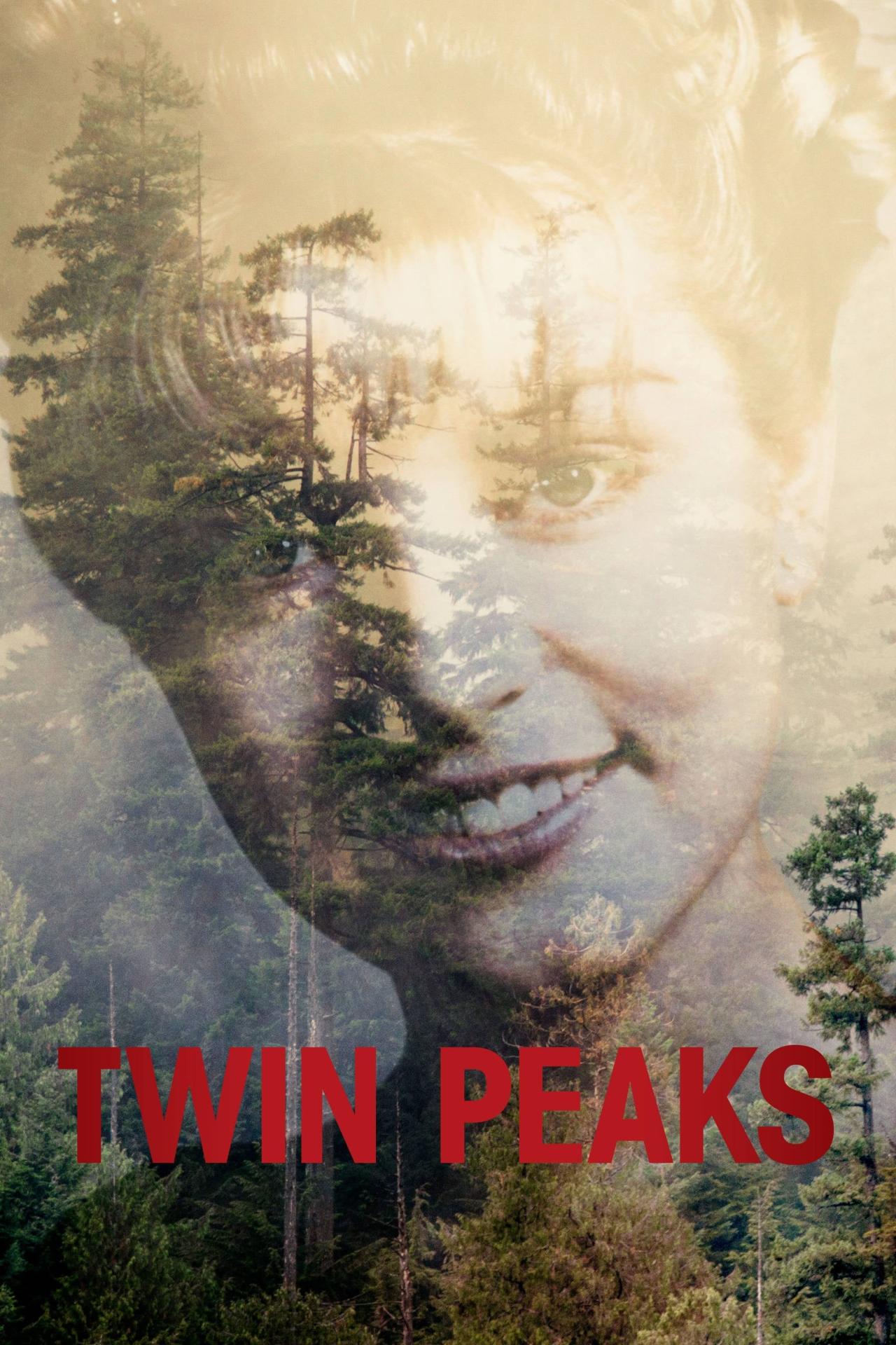 Les saisons de Twin Peaks sont-elles disponibles sur Netflix ou autre ?