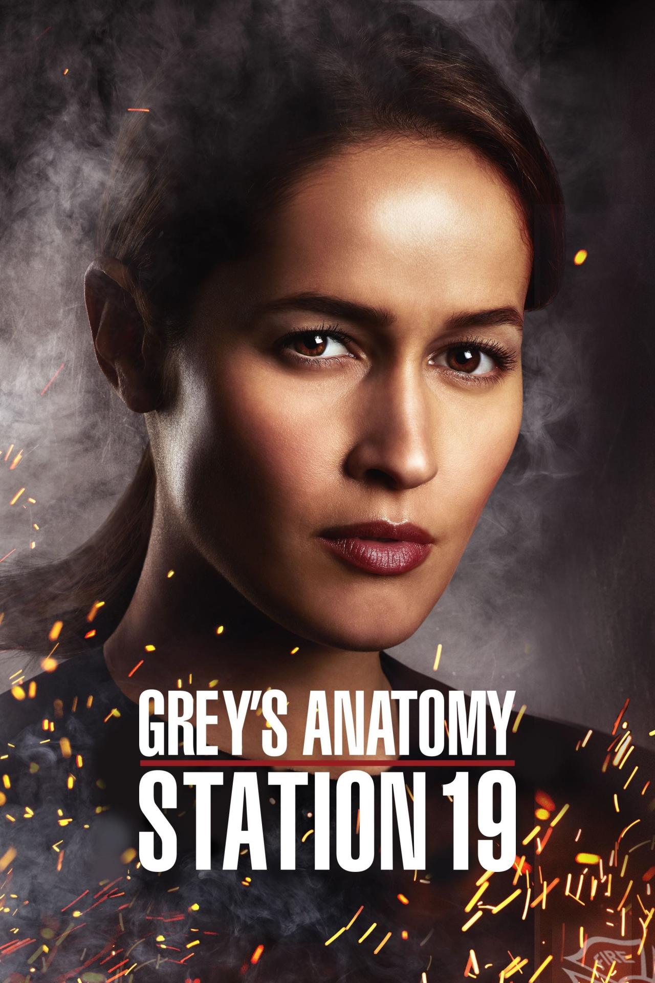 Affiche de la série Grey's Anatomy : Station 19 poster