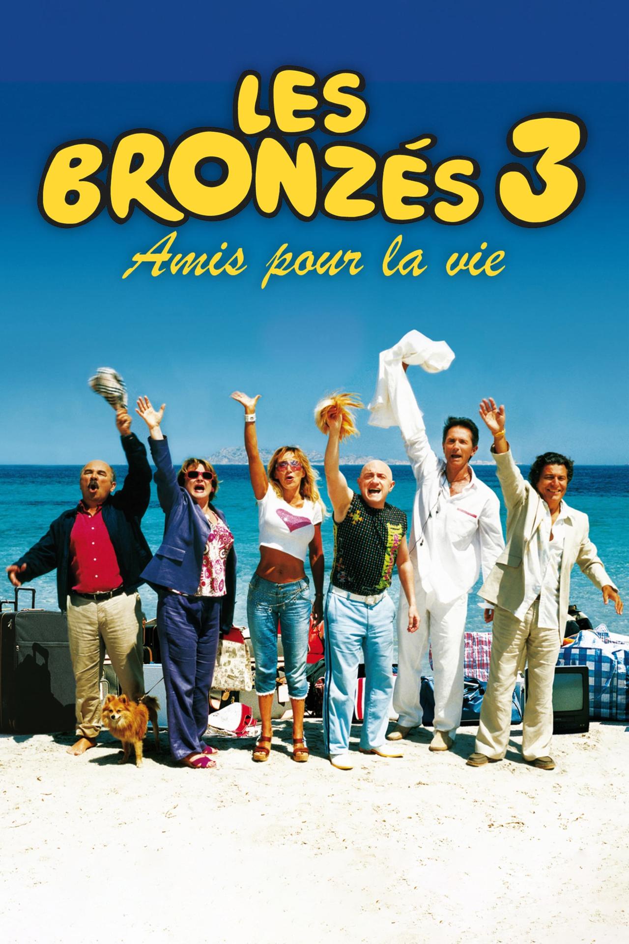 Les Bronzés 3: Amis pour la vie est-il disponible sur Netflix ou autre ?