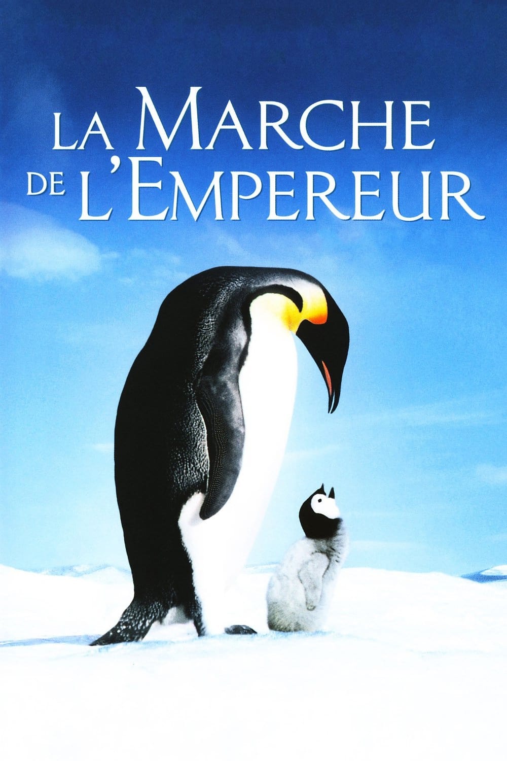 Affiche du film La Marche de l'empereur poster