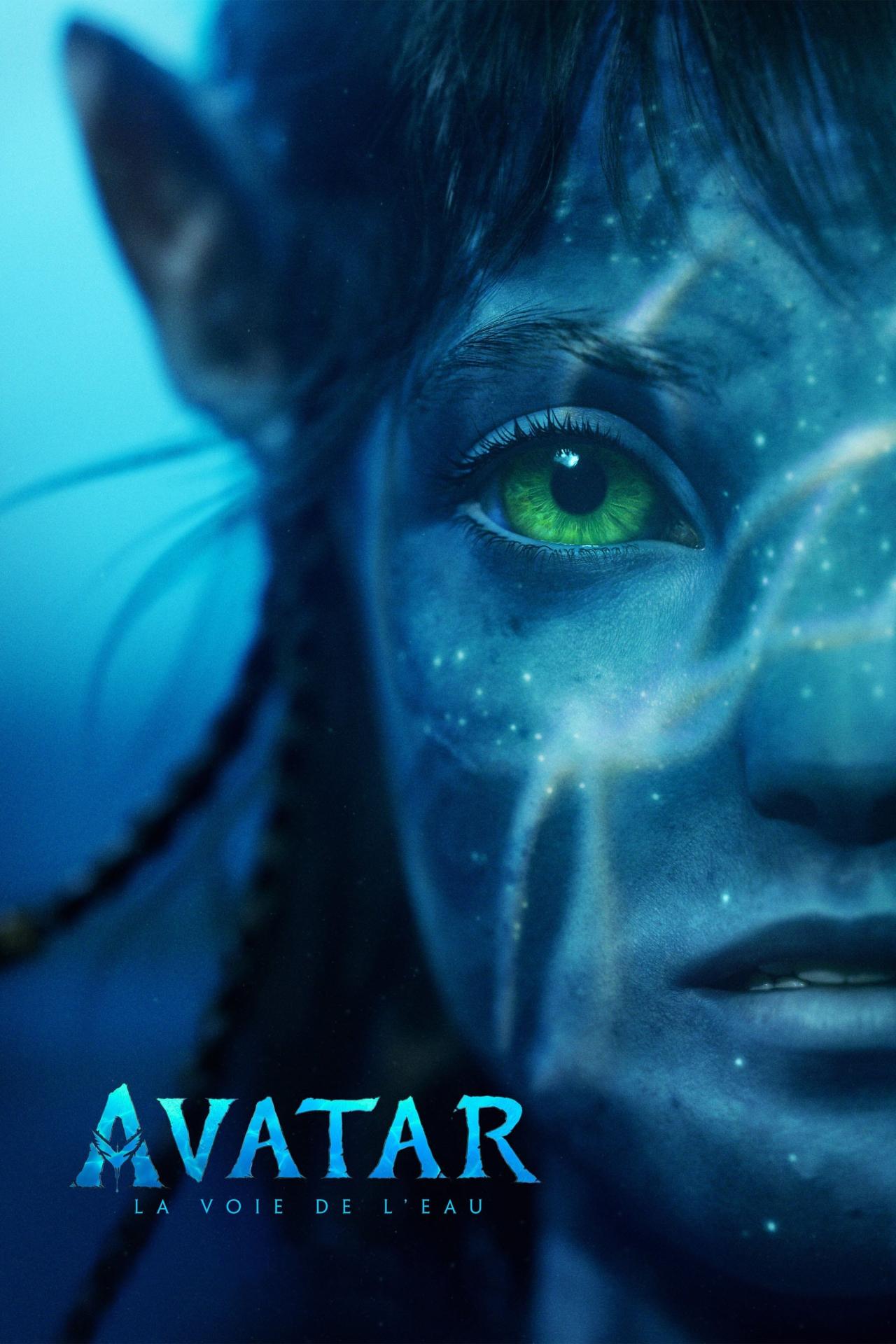 Affiche du film Avatar : La Voie de l'eau poster