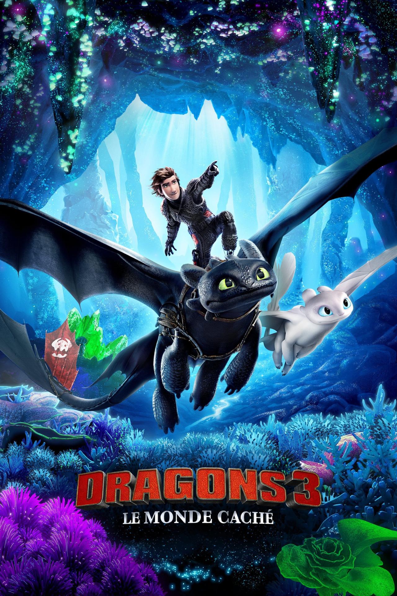 Affiche du film Dragons 3 : Le monde caché poster
