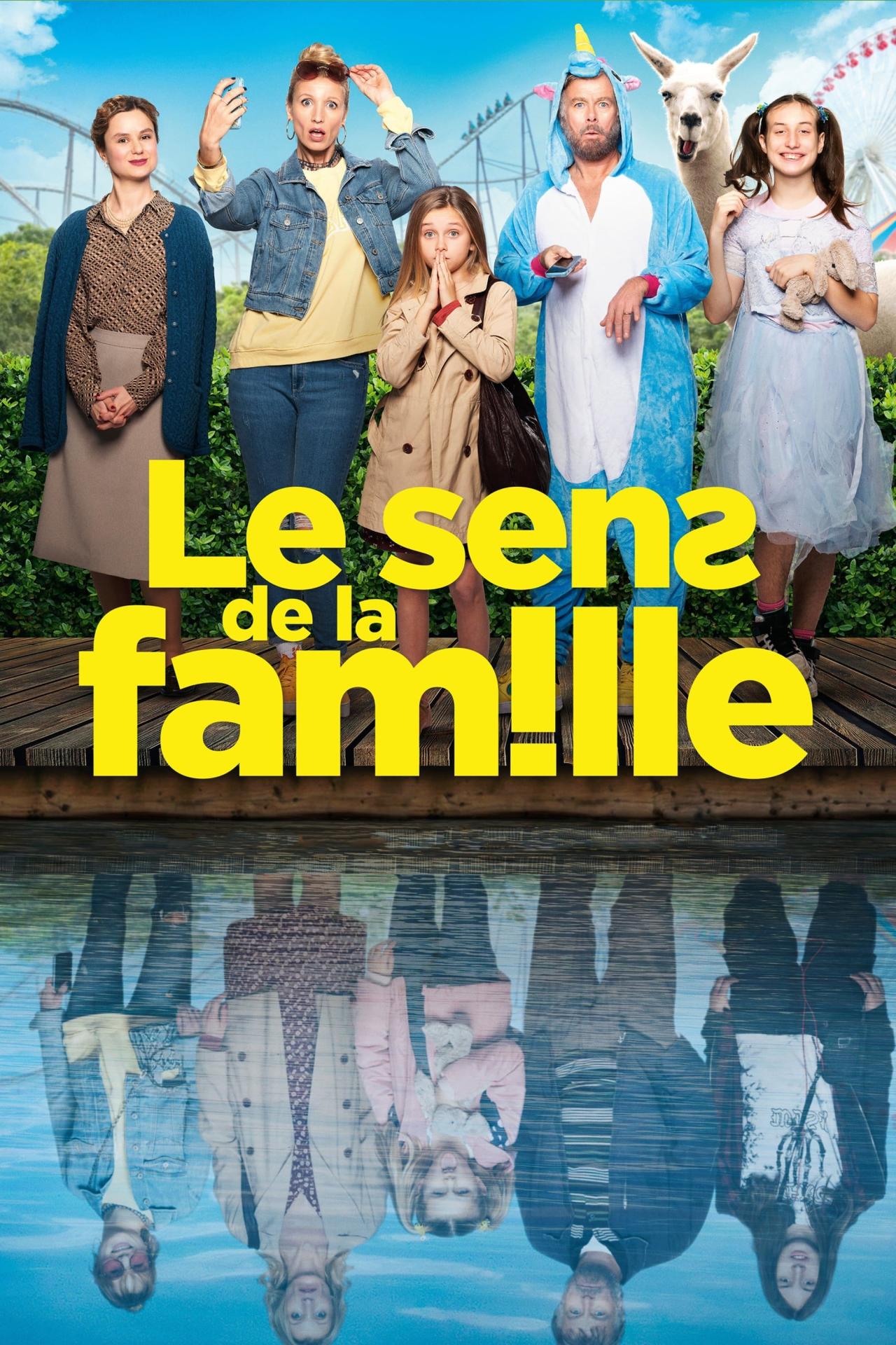 Affiche du film Le sens de la famille poster