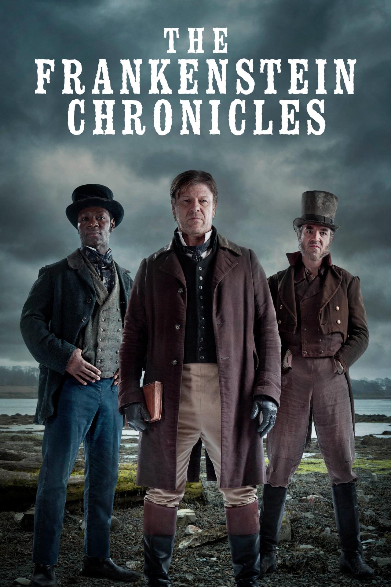 Les saisons de The Frankenstein Chronicles sont-elles disponibles sur Netflix ou autre ?