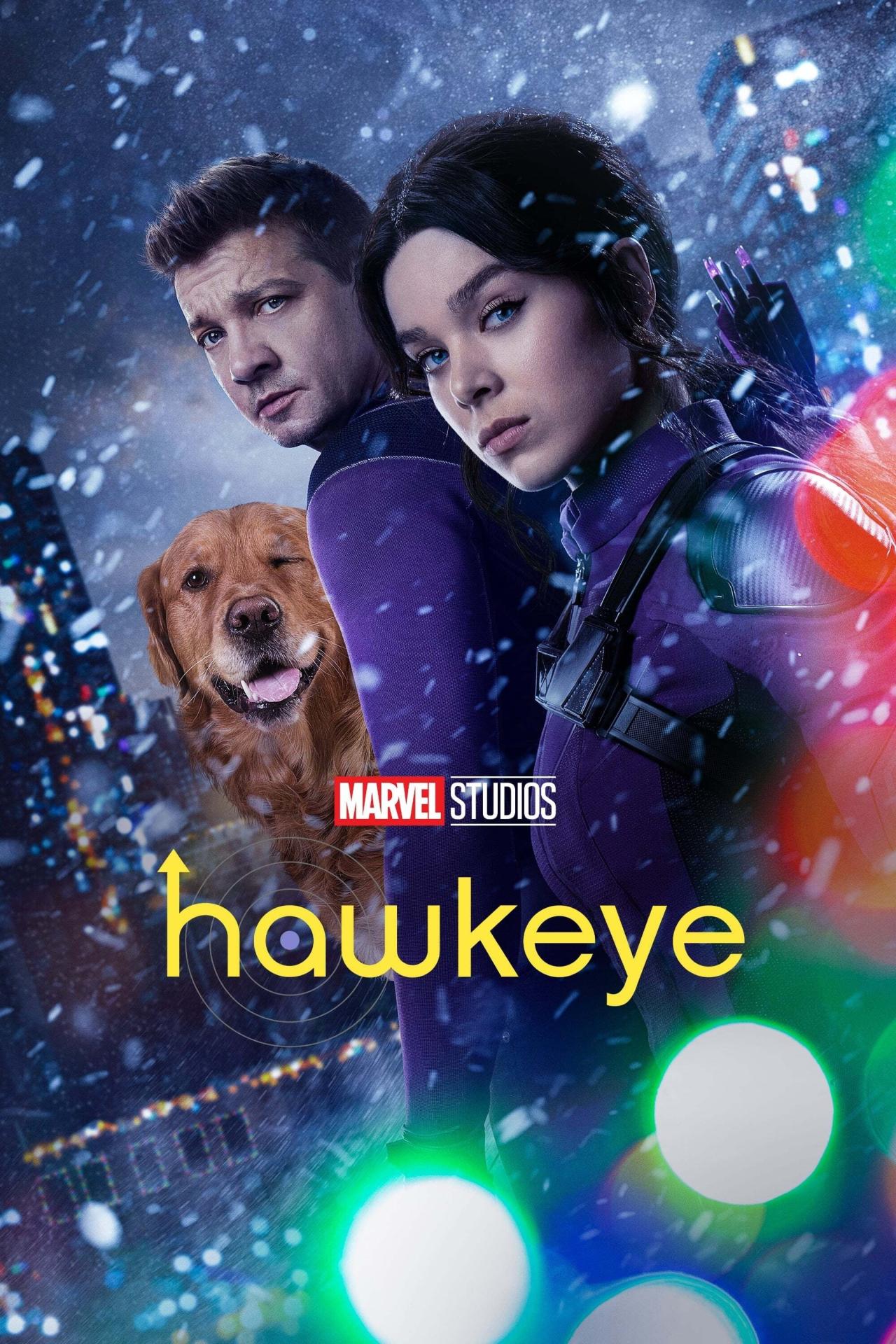 Les saisons de Hawkeye sont-elles disponibles sur Netflix ou autre ?