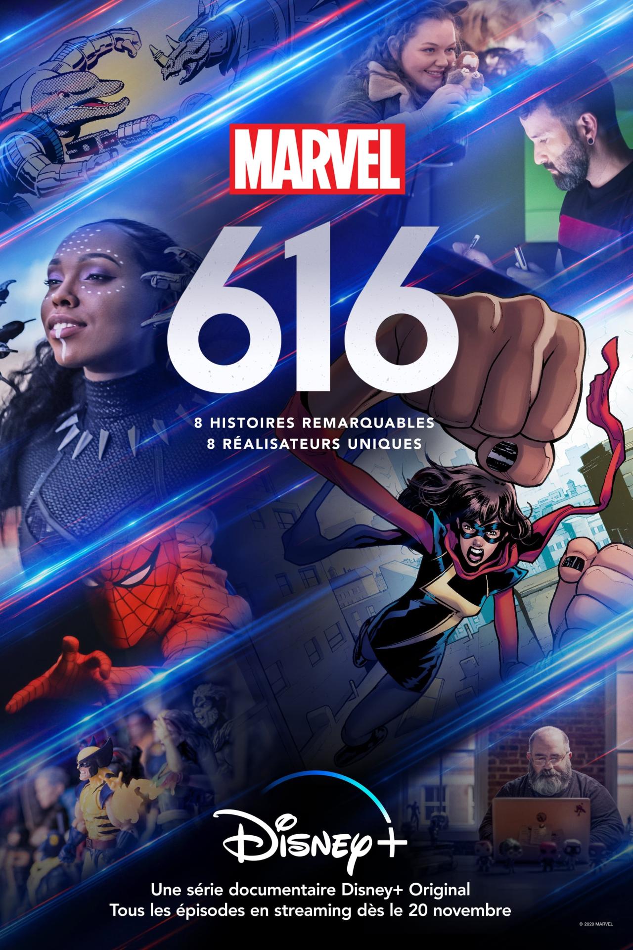 Les saisons de Marvel's 616 sont-elles disponibles sur Netflix ou autre ?