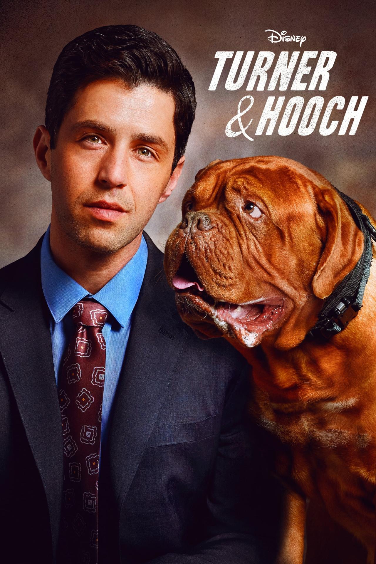 Les saisons de Turner & Hooch sont-elles disponibles sur Netflix ou autre ?