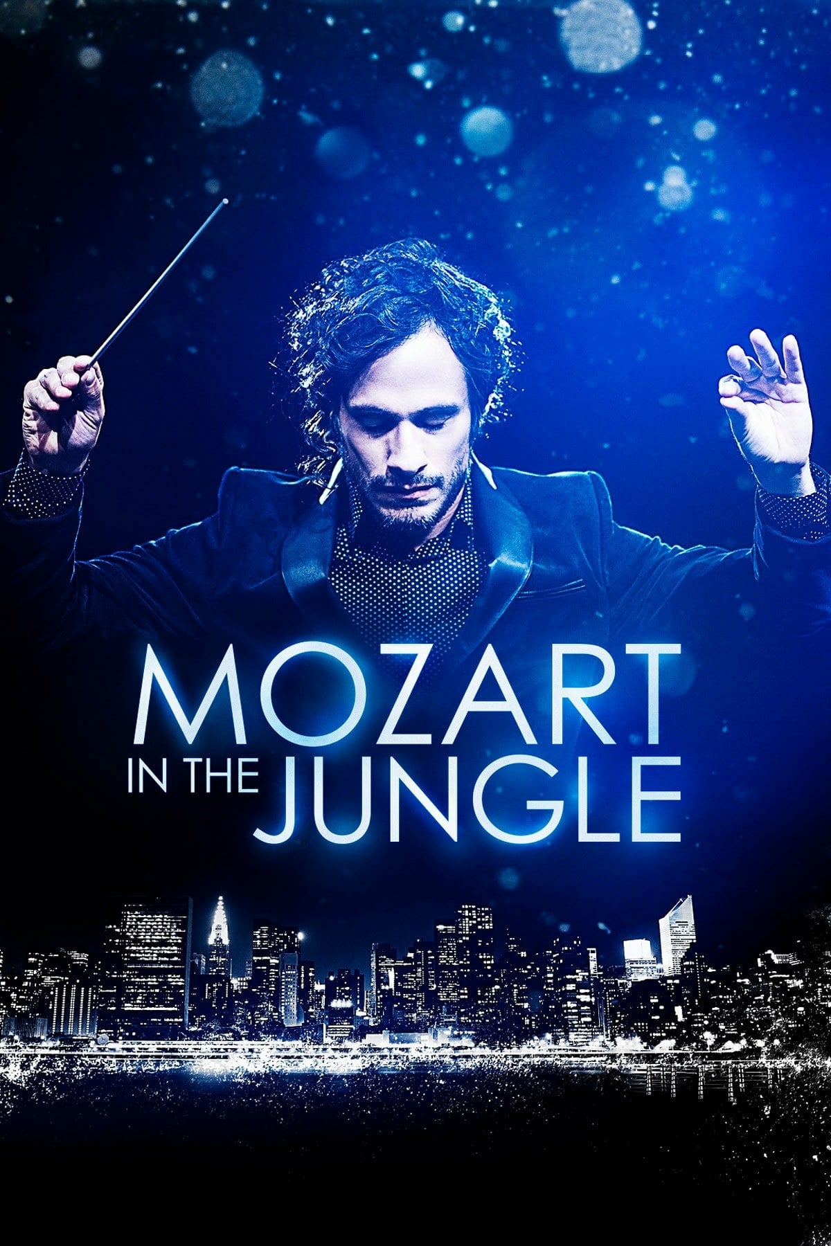Les saisons de Mozart in the Jungle sont-elles disponibles sur Netflix ou autre ?
