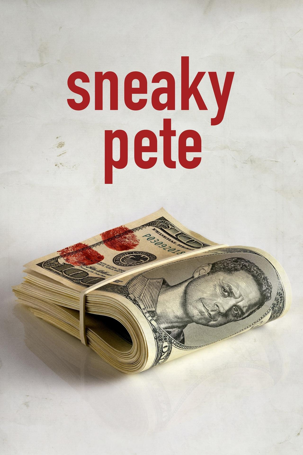 Les saisons de Sneaky Pete sont-elles disponibles sur Netflix ou autre ?