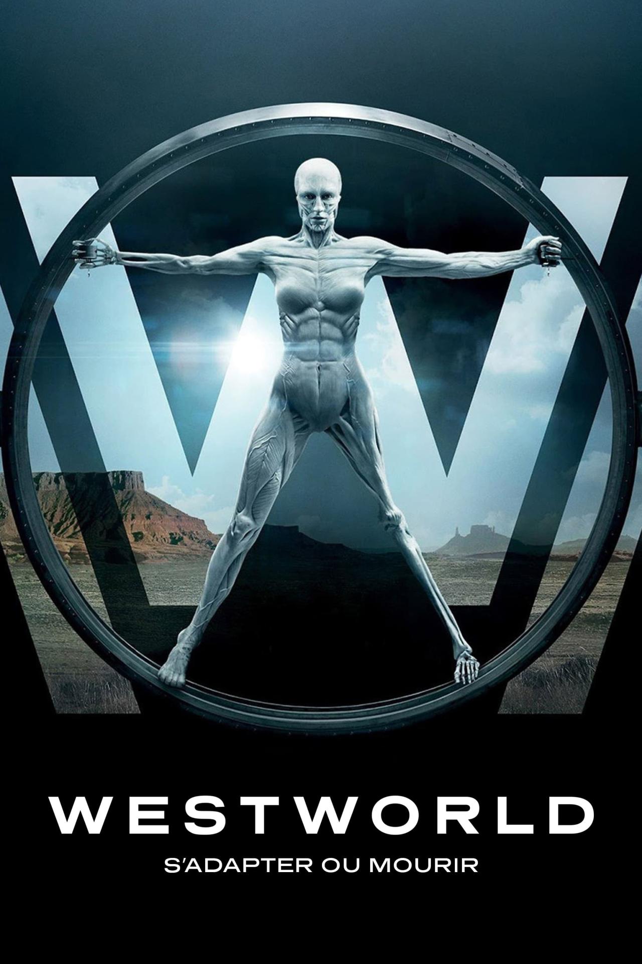 Les saisons de Westworld sont-elles disponibles sur Netflix ou autre ?