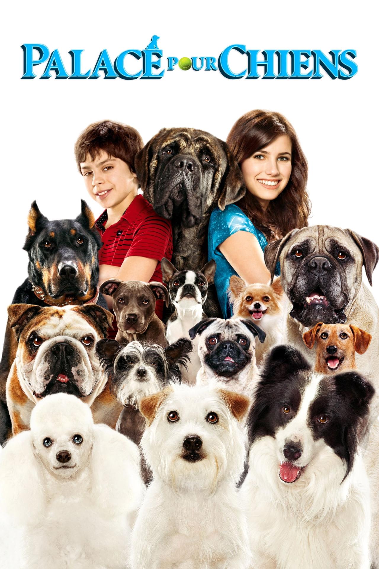 Palace pour chiens est-il disponible sur Netflix ou autre ?