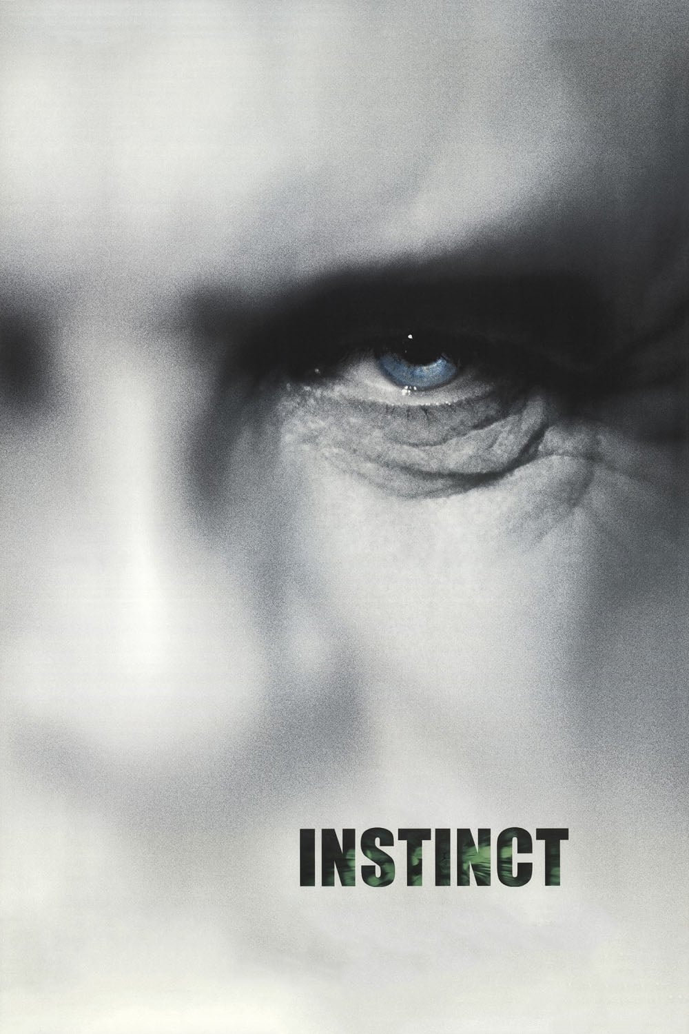 Affiche du film Instinct poster