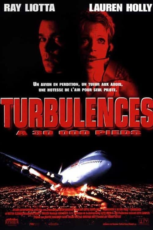 Affiche du film Turbulences à 30 000 pieds poster