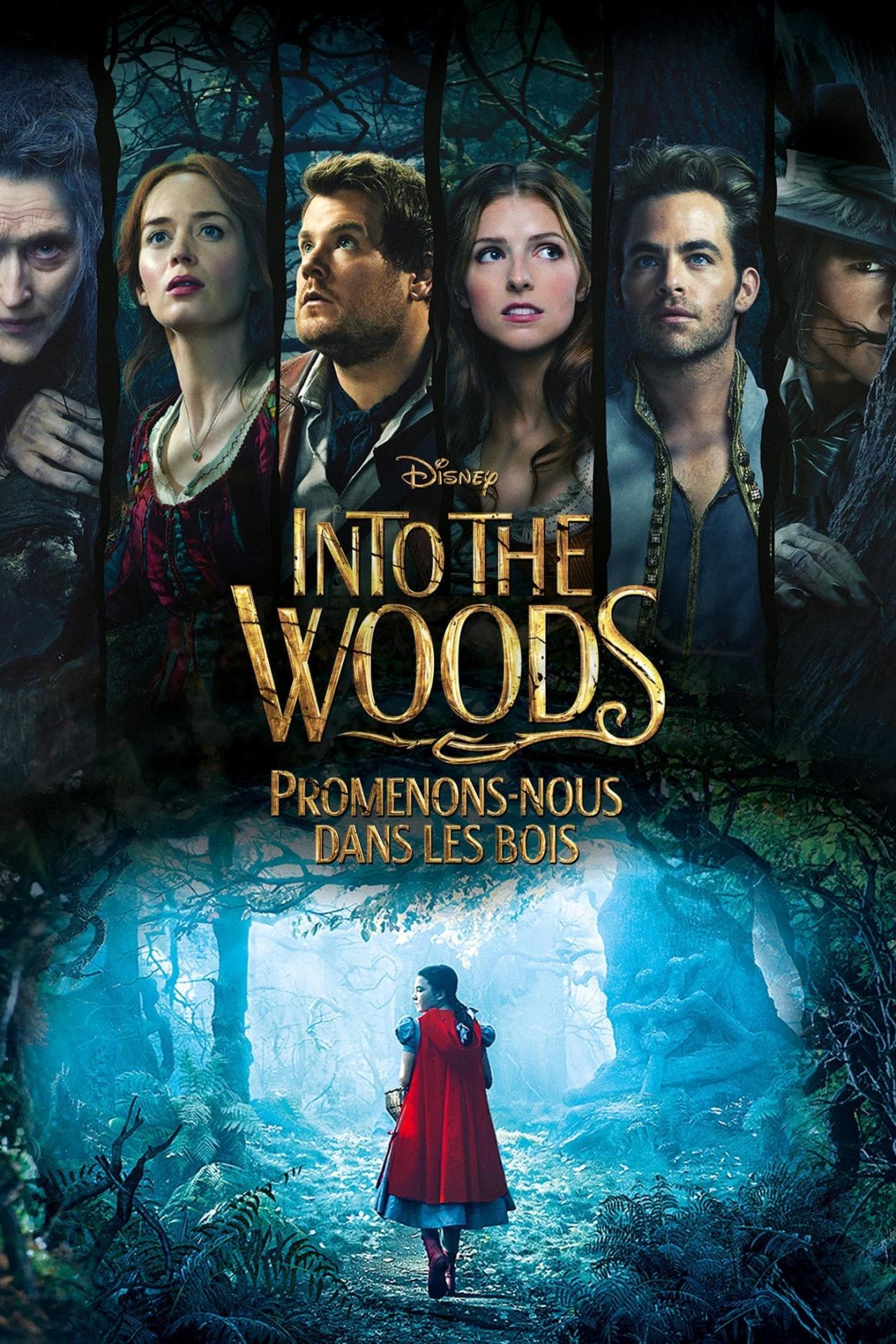 Into the Woods : Promenons-nous dans les bois est-il disponible sur Netflix ou autre ?