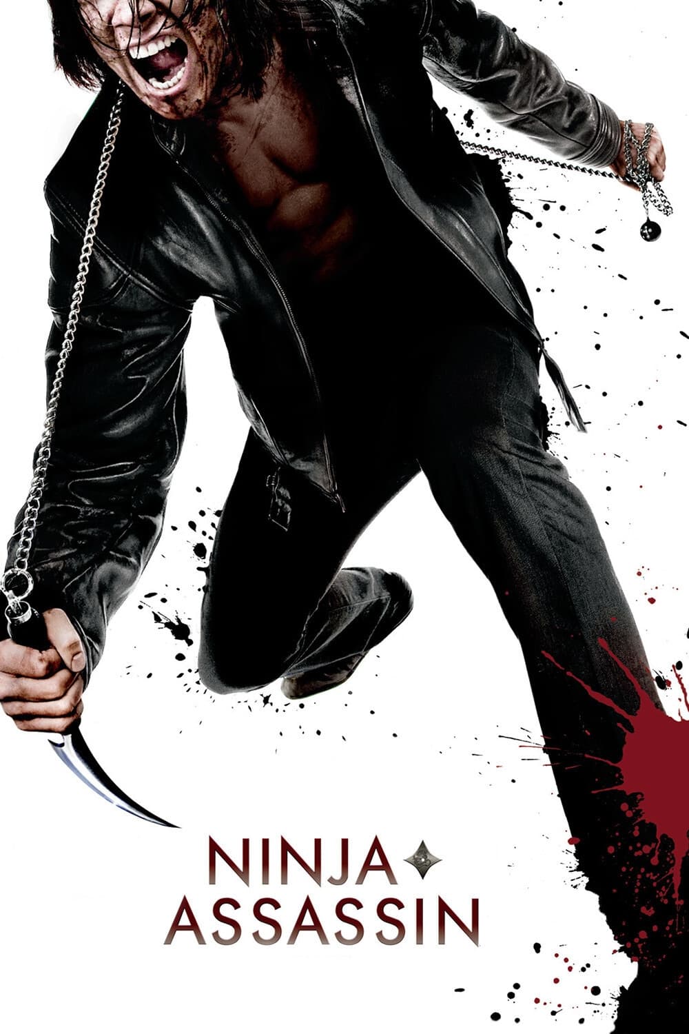 Ninja Assassin est-il disponible sur Netflix ou autre ?
