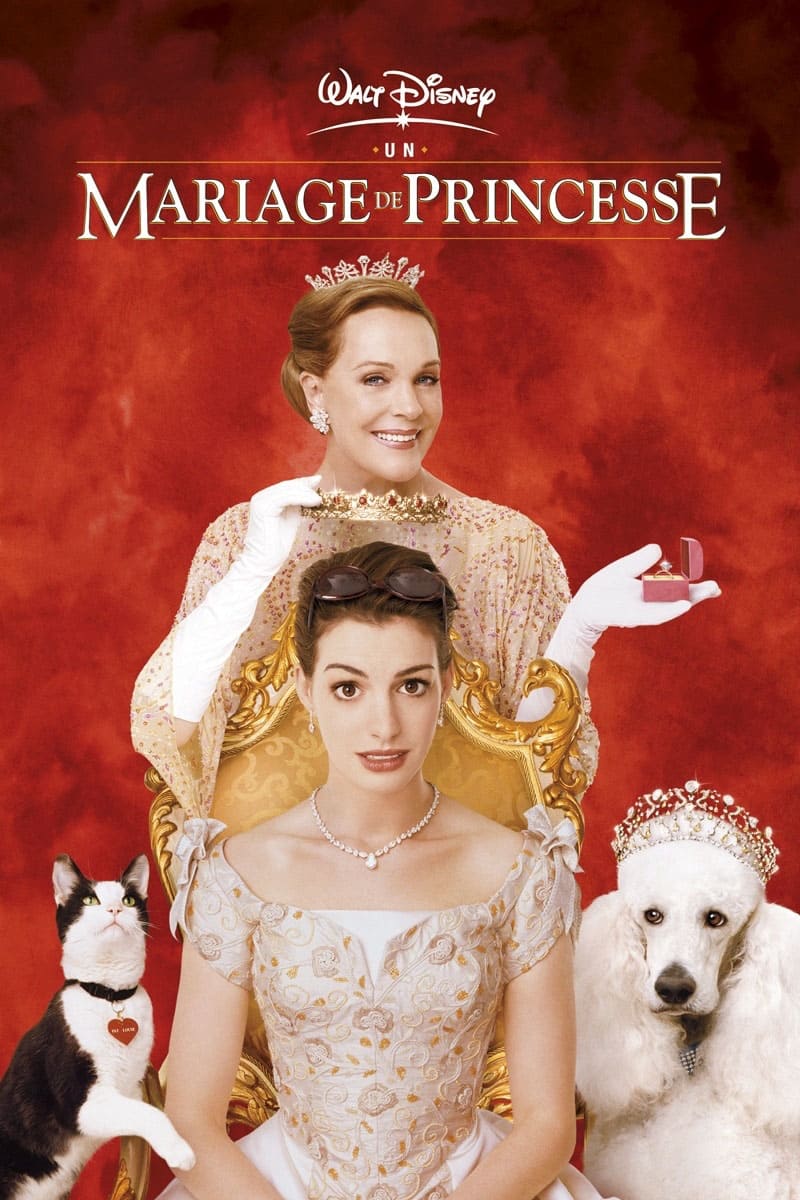 Un mariage de princesse est-il disponible sur Netflix ou autre ?