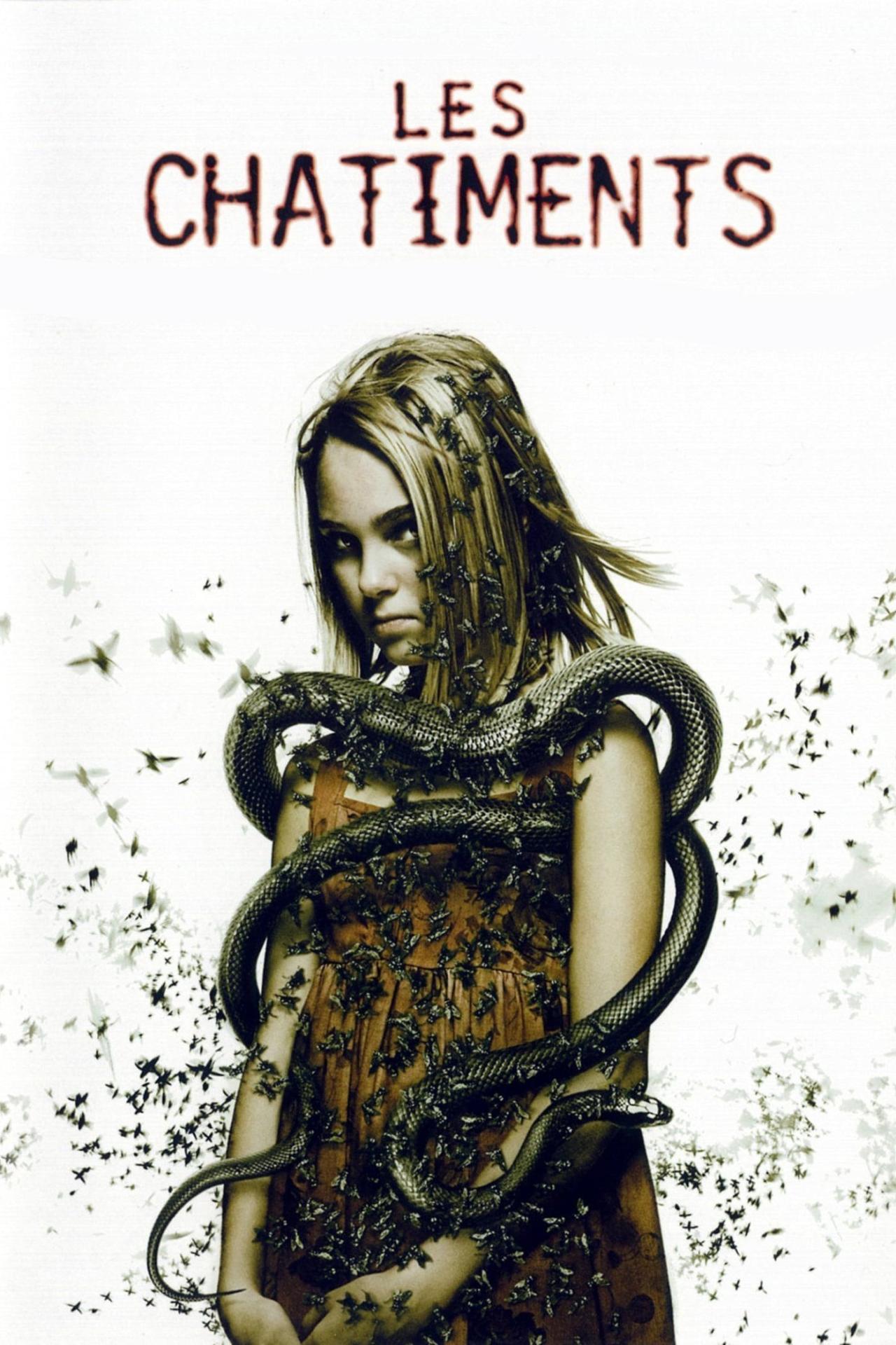 Affiche du film Les Châtiments poster