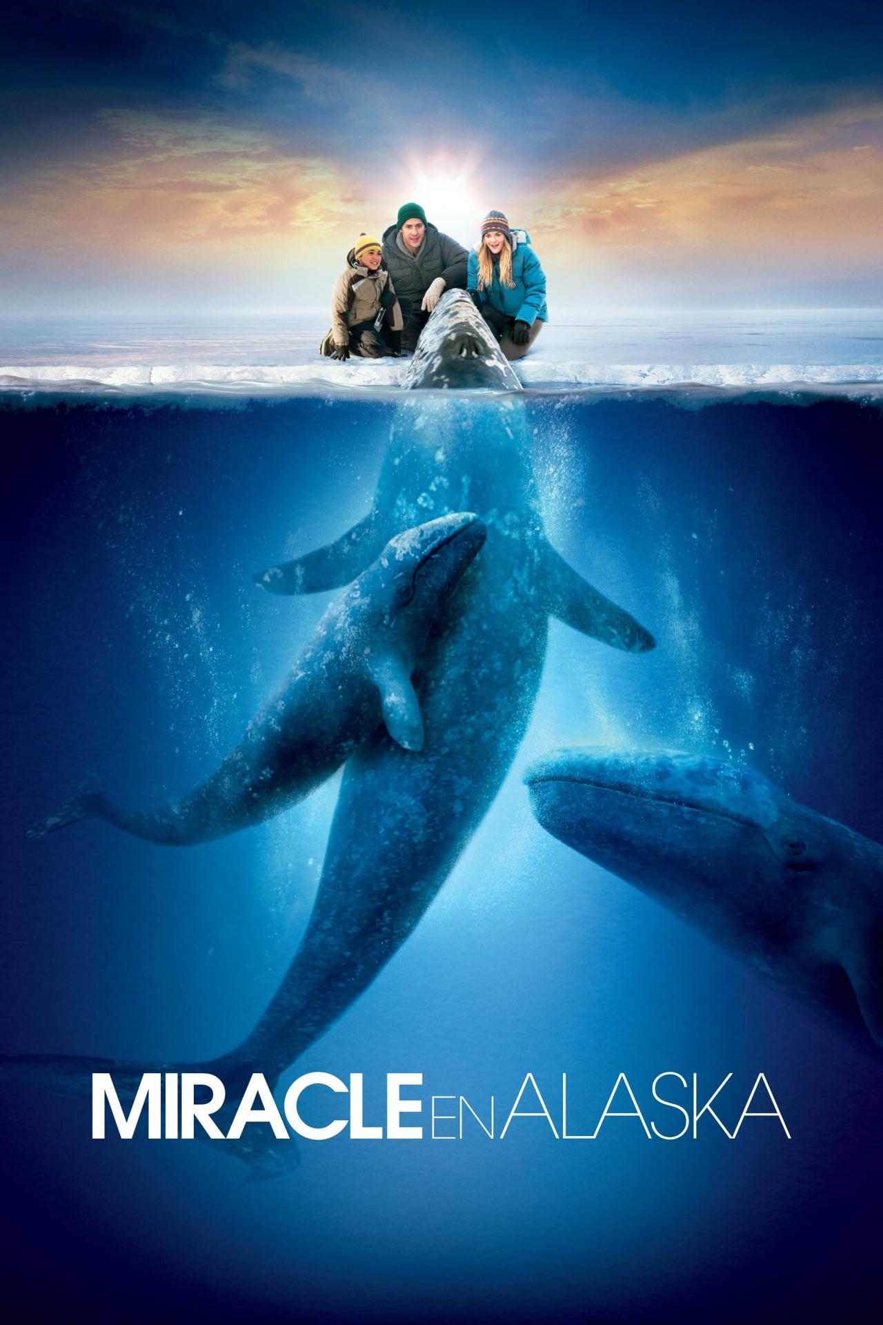 Miracle en Alaska est-il disponible sur Netflix ou autre ?