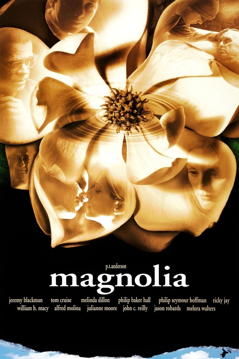 Magnolia est-il disponible sur Netflix ou autre ?