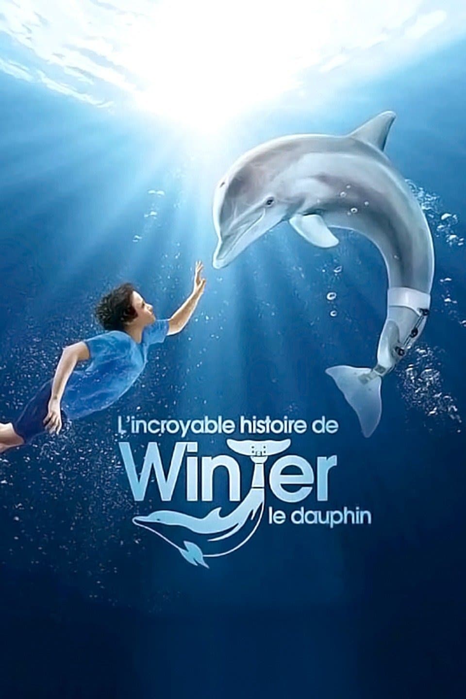 Affiche du film L'Incroyable Histoire de Winter le dauphin poster