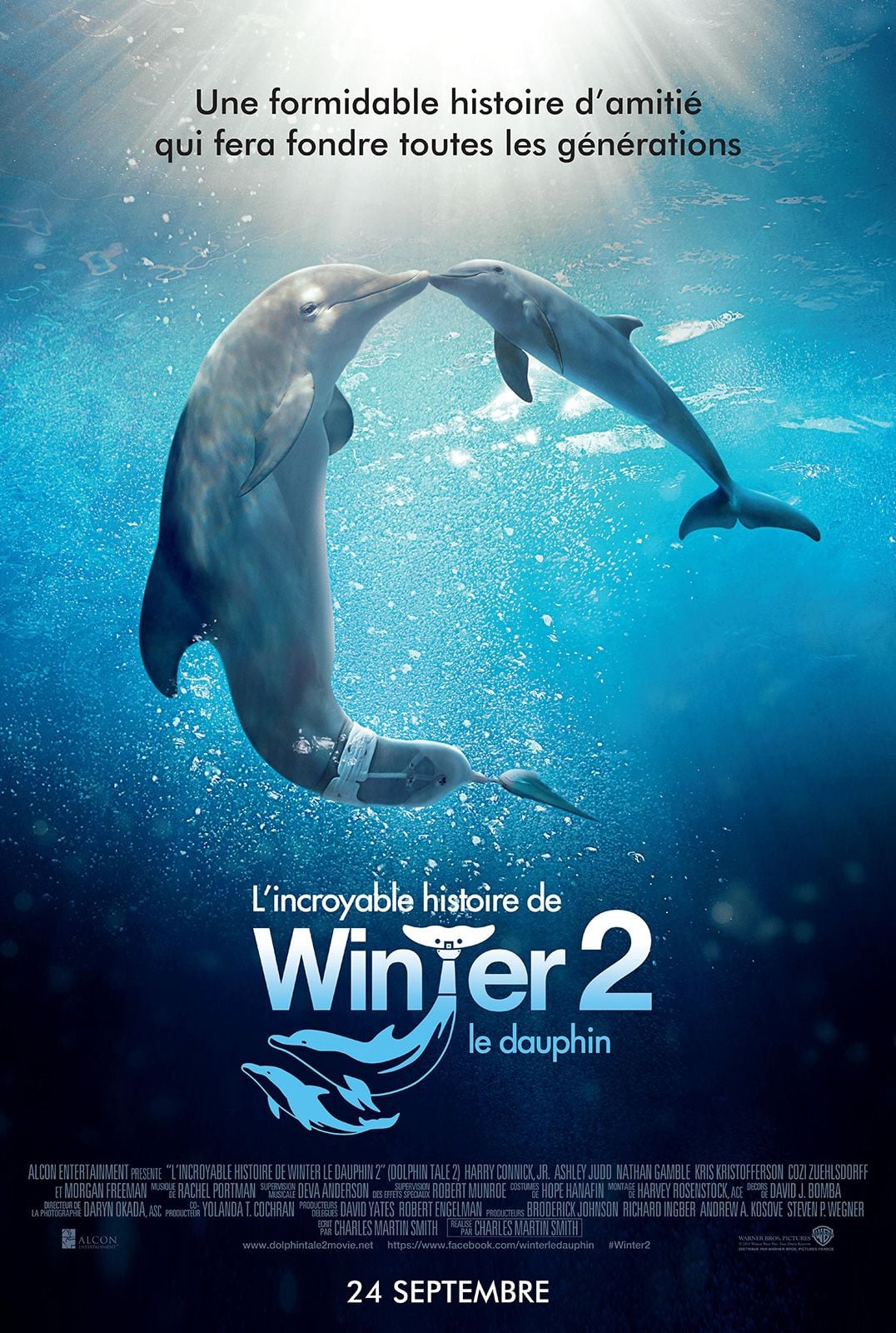 L'Incroyable Histoire de Winter le dauphin 2 est-il disponible sur Netflix ou autre ?