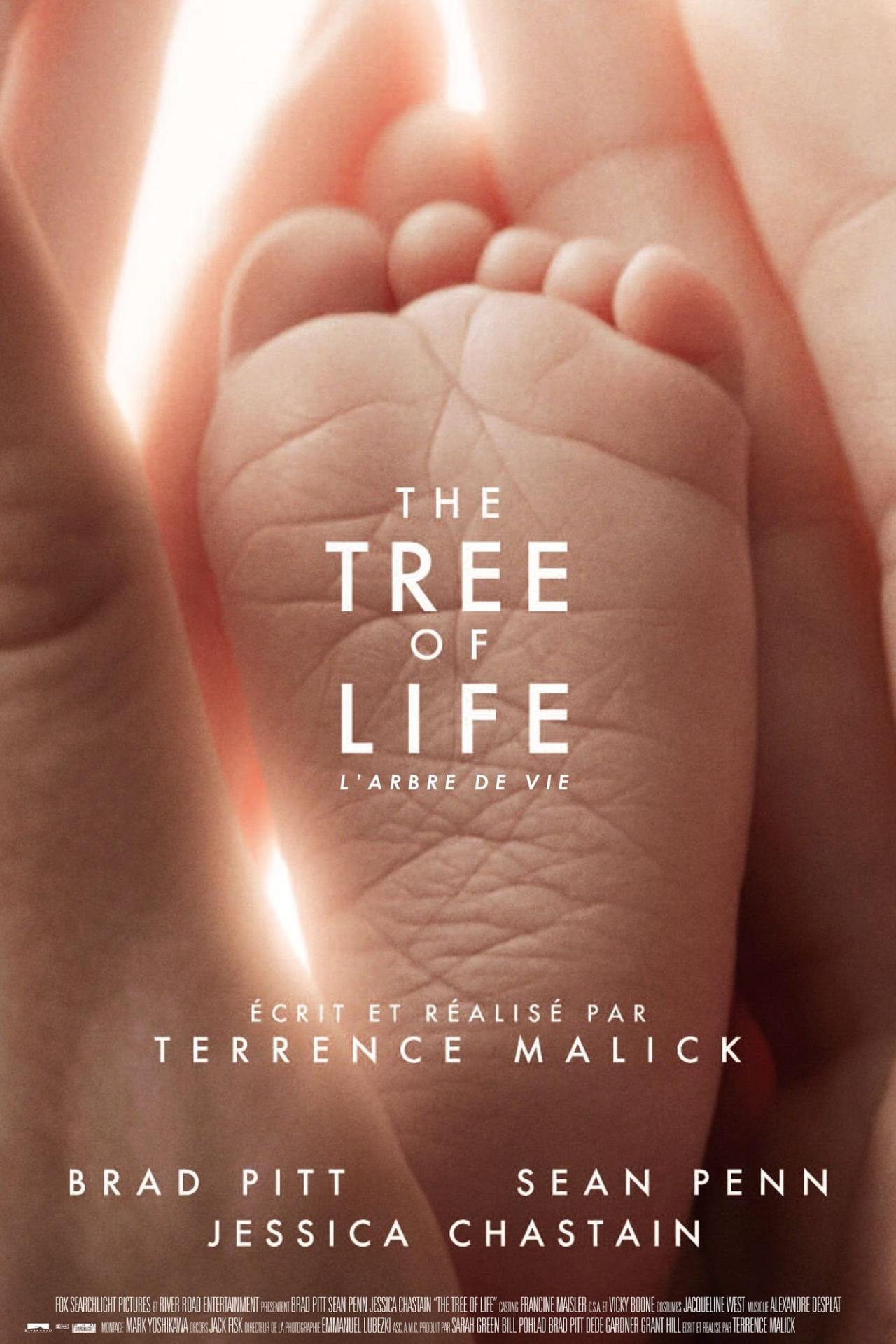 Affiche du film The Tree of Life poster