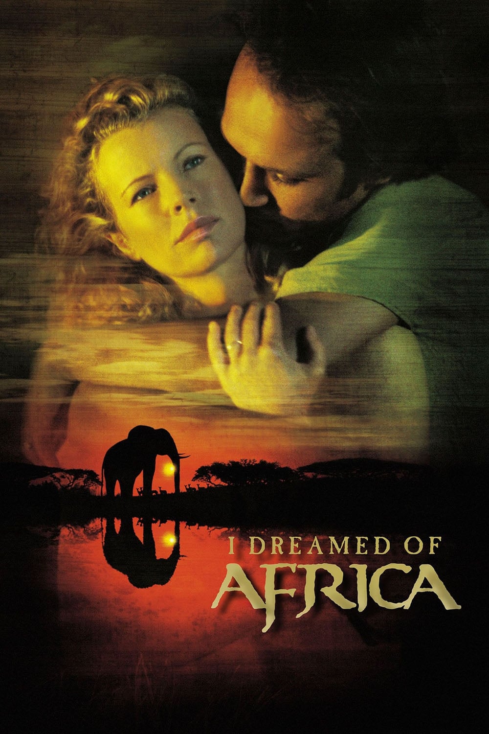 I Dreamed of Africa est-il disponible sur Netflix ou autre ?