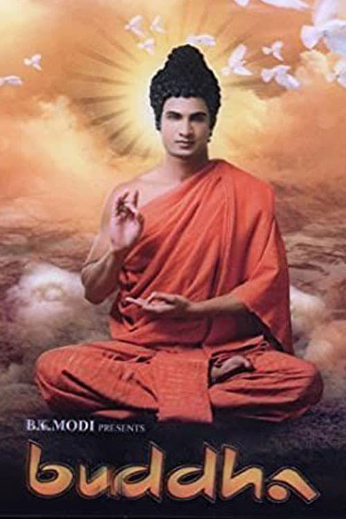 Les saisons de Buddhaa - Rajaon ka Raja sont-elles disponibles sur Netflix ou autre ?