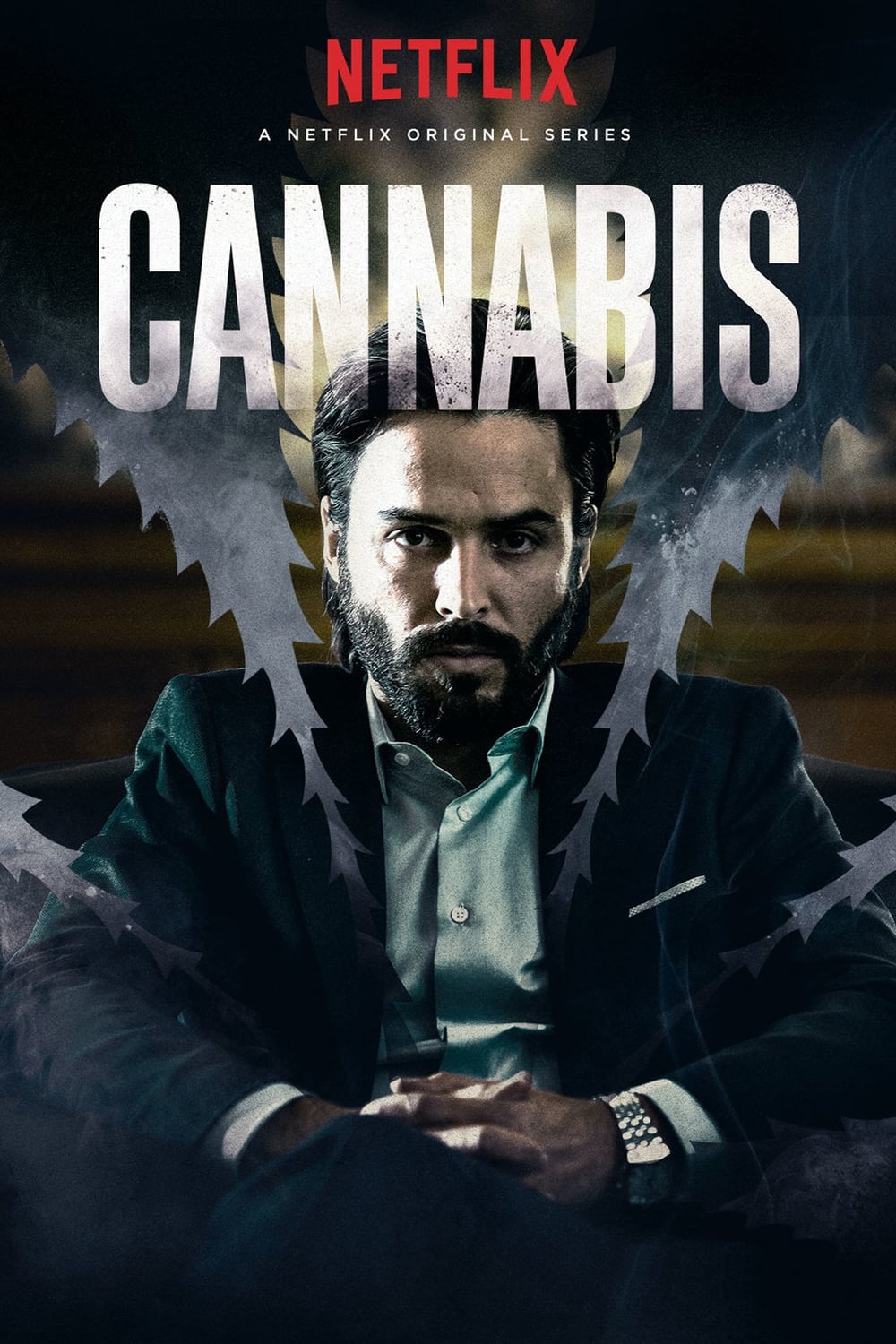 Les saisons de Cannabis sont-elles disponibles sur Netflix ou autre ?