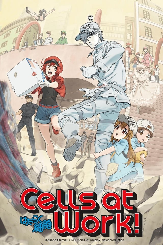 Les saisons de Cells at Work! sont-elles disponibles sur Netflix ou autre ?