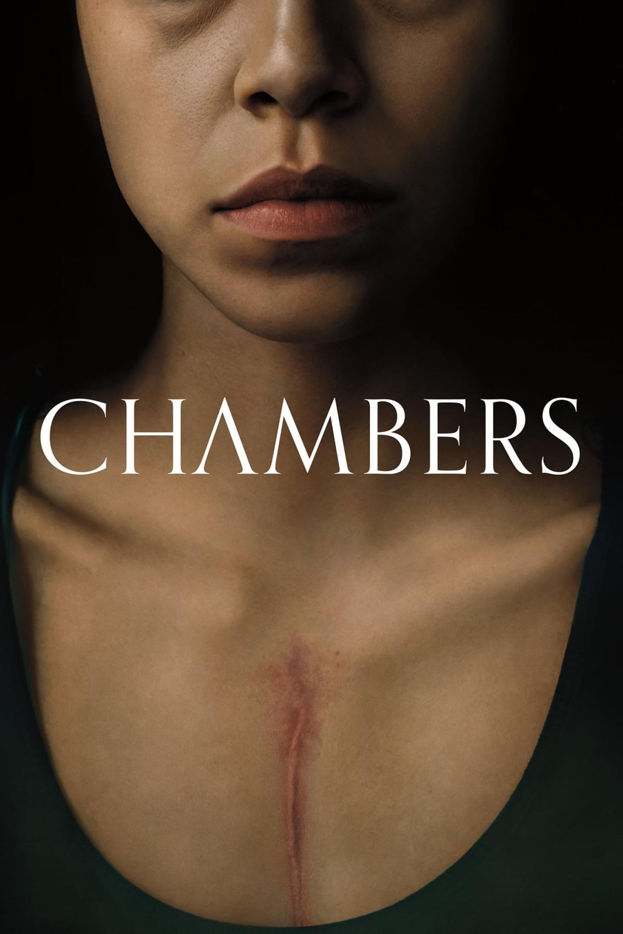 Les saisons de Chambers sont-elles disponibles sur Netflix ou autre ?